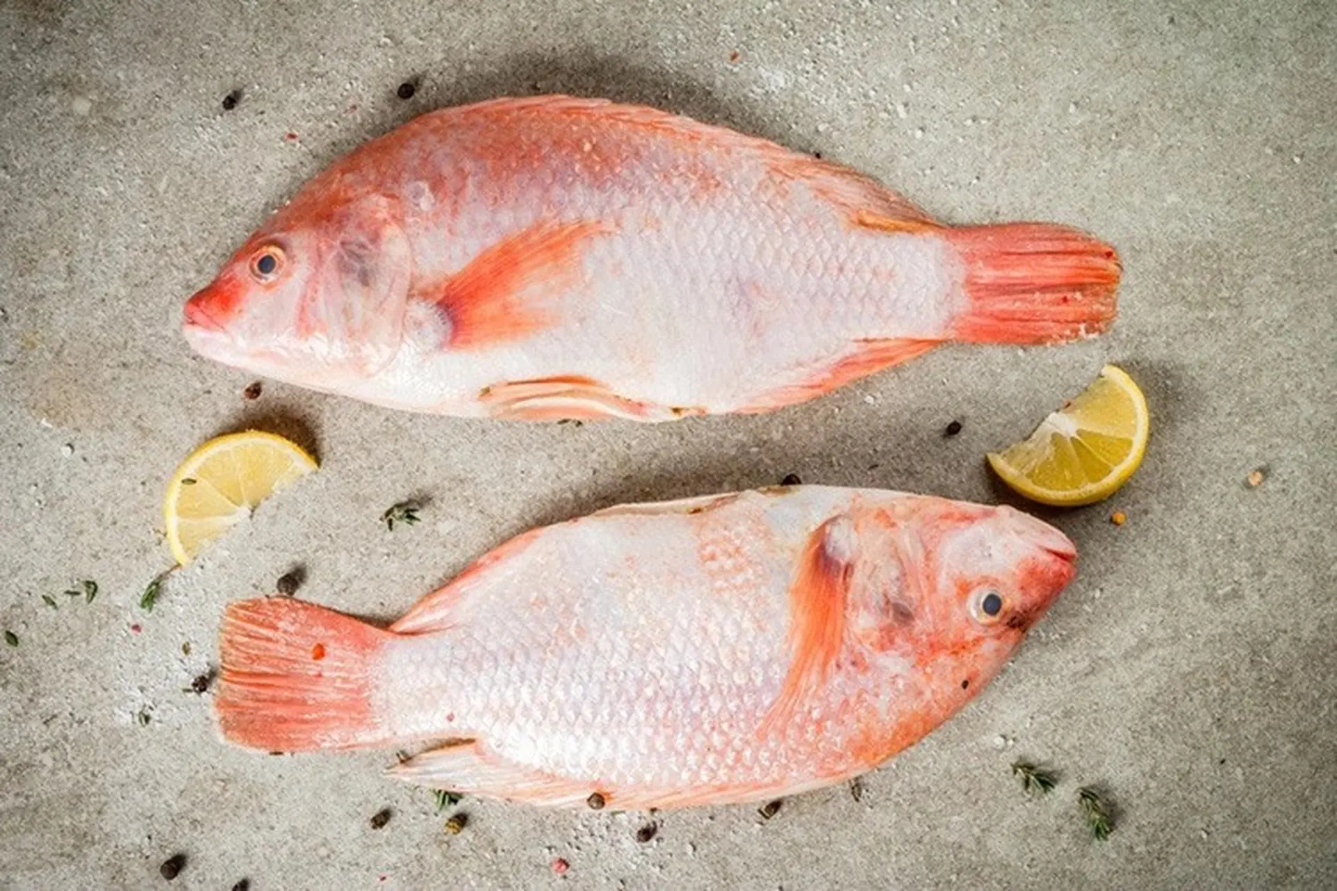 Top 5 món ngon từ cá diêu hồng dễ làm mà lại cực kỳ hấp dẫn, khó quên