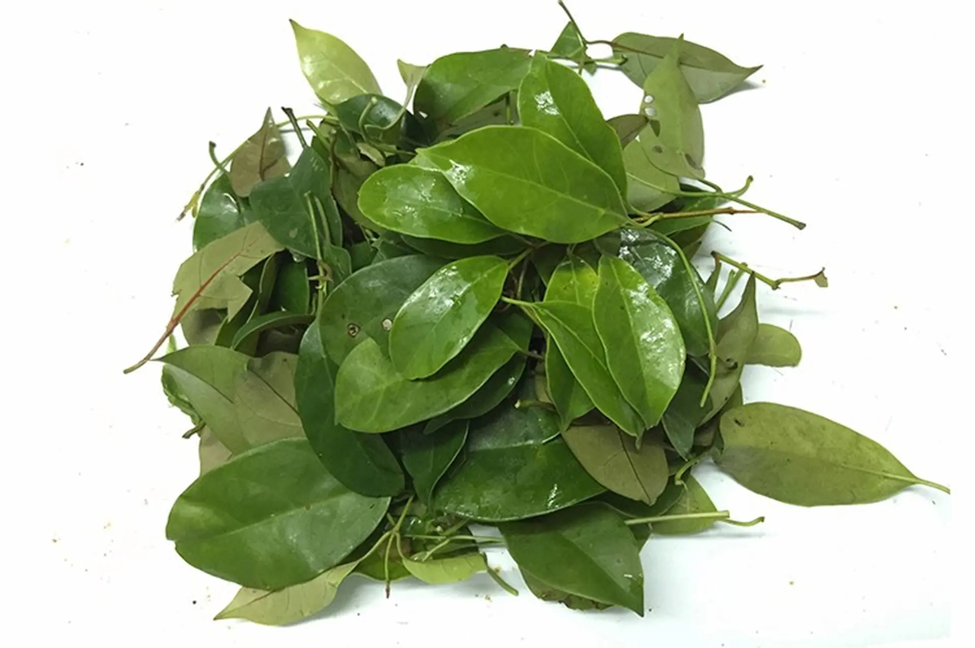 Lá giang là lá gì? 6 món ngon từ lá giang và những lưu ý phải biết khi dùng lá giang