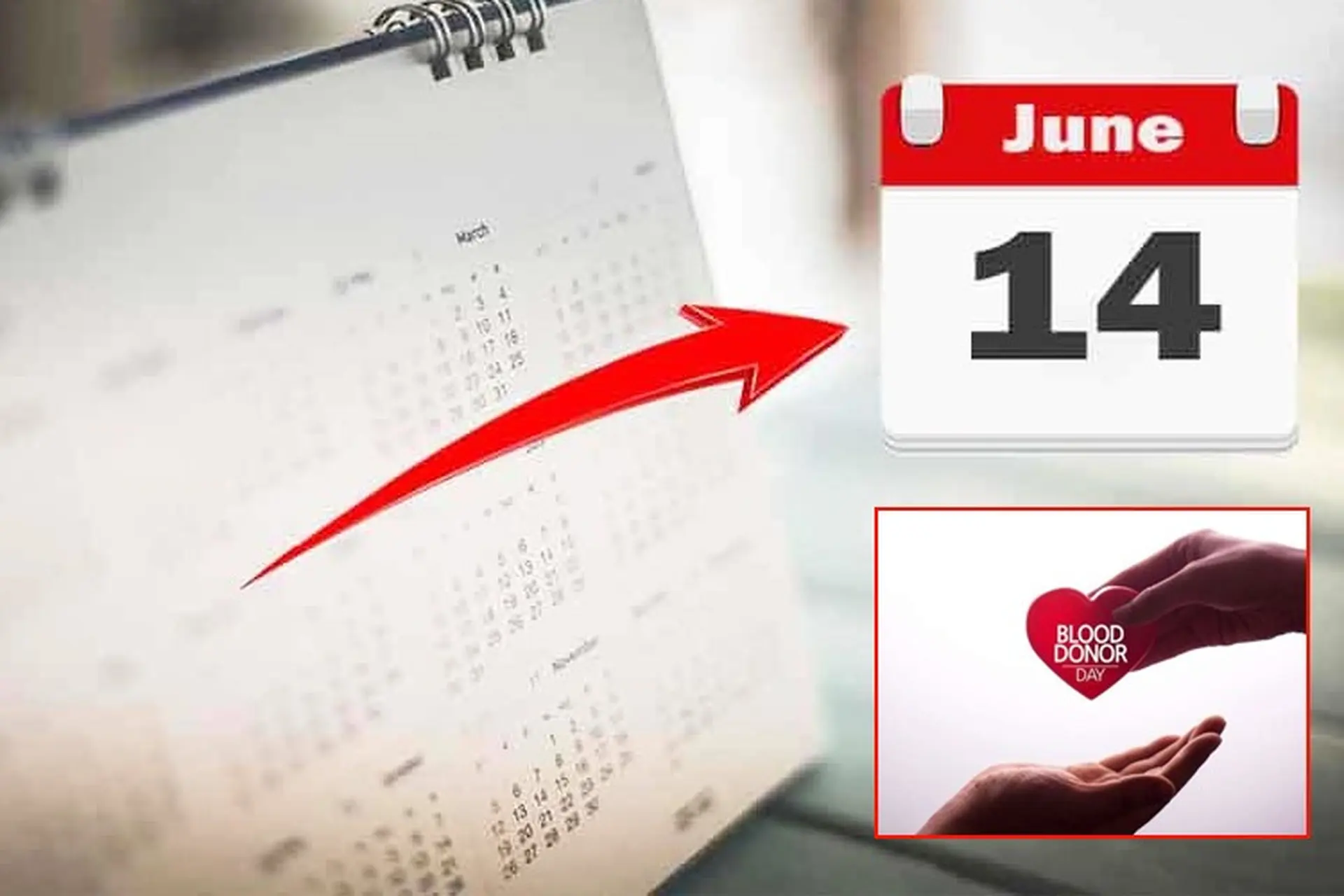 14/6 là ngày gì? Tìm hiểu về ý nghĩa và những sự kiện liên quan đến ngày 14/6