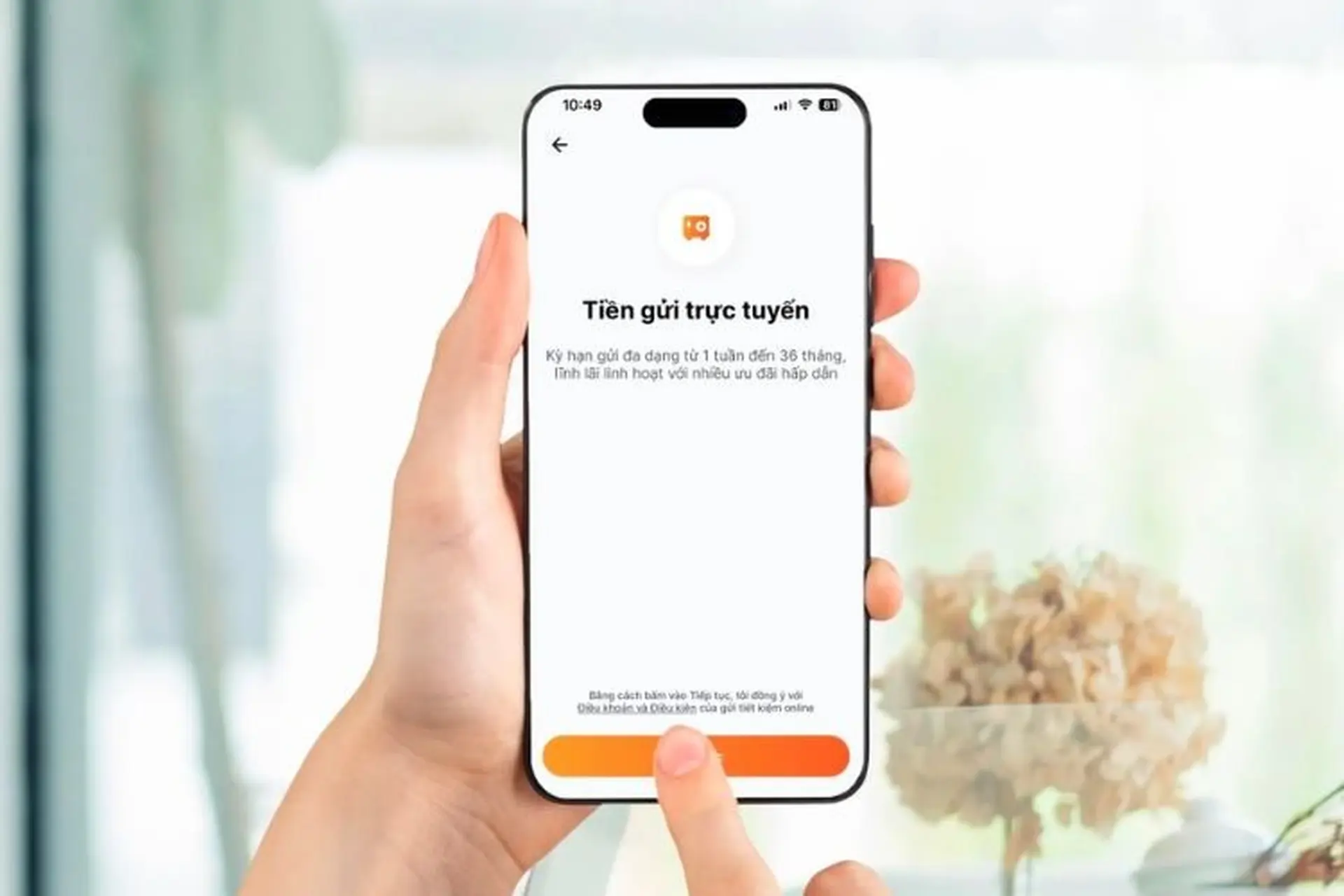 Gửi tiết kiệm online có an toàn không? Tiện ích và lưu ý khi gửi tiết kiệm online 