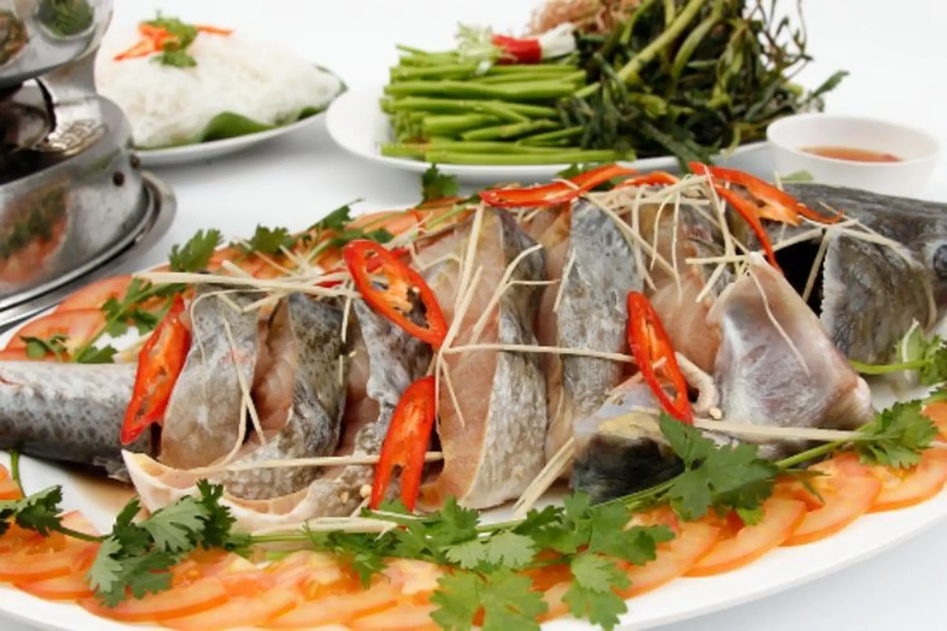 Cá tầm làm món gì hấp dẫn? Bỏ túi ngay 12 món ngon khó cưỡng từ cá tầm khiến ai cũng phải thích mê