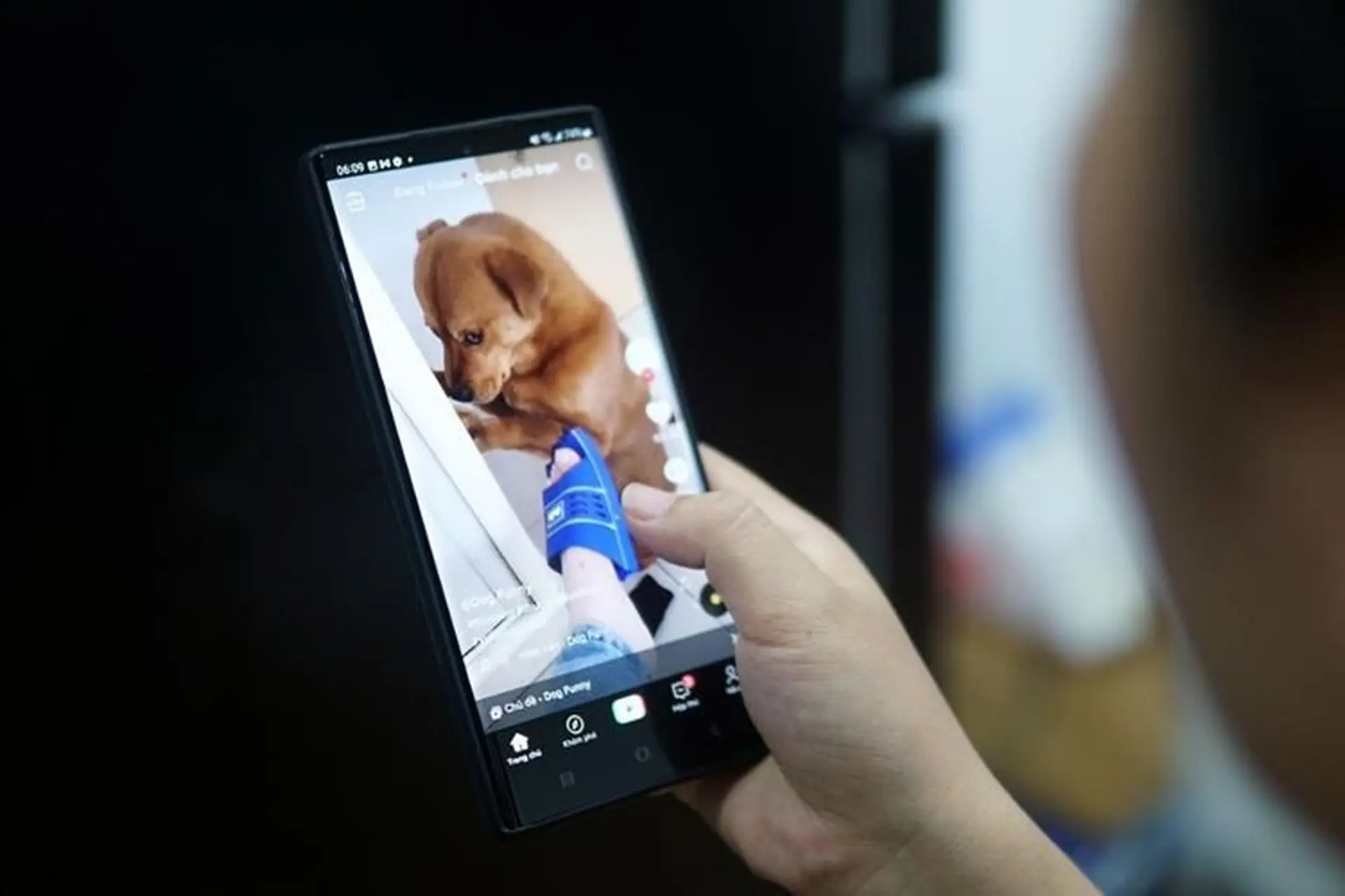 Hướng dẫn bạn cách xem tất cả những kênh mà bạn đã theo dõi trên Zalo Video 