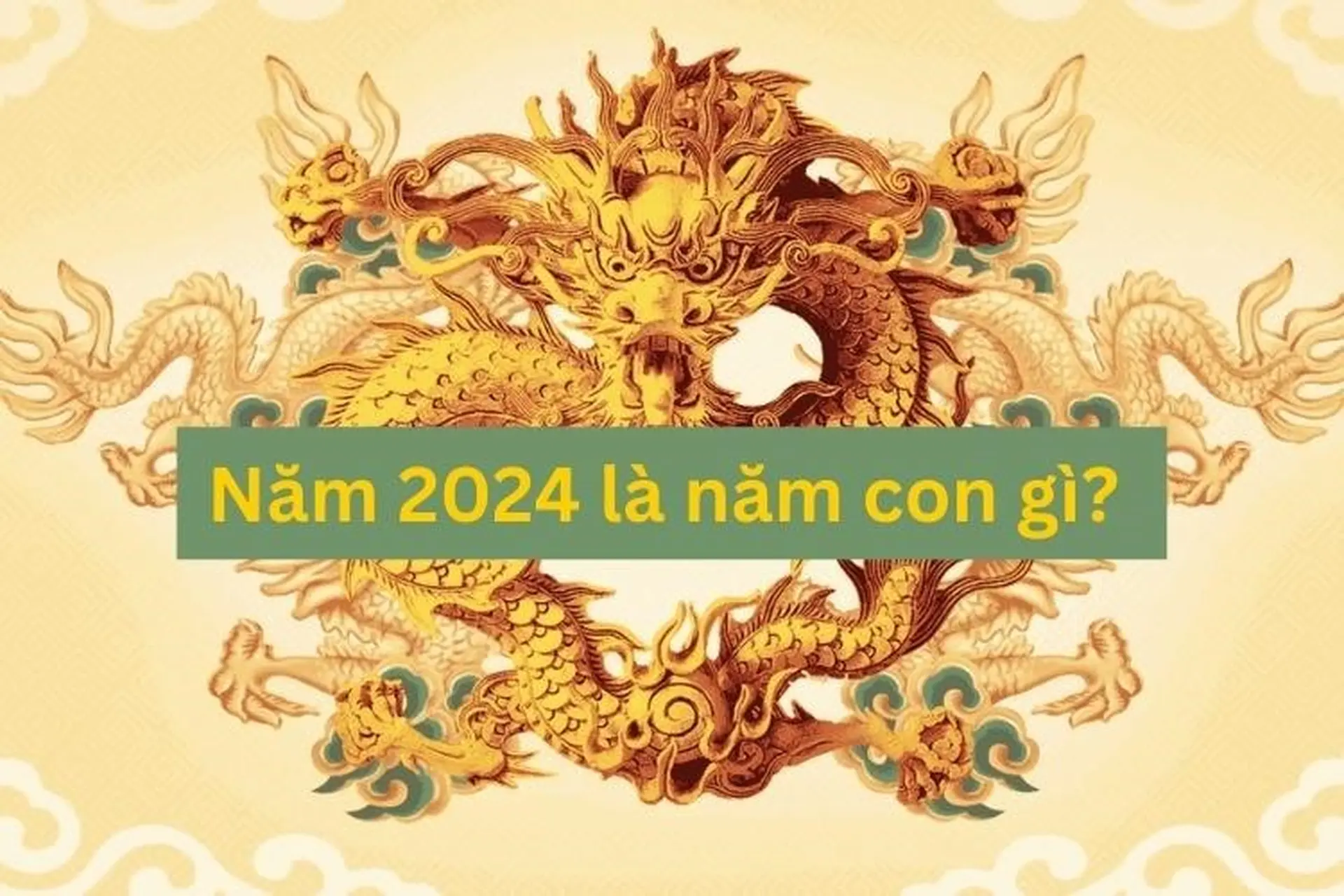 Năm 2024 là năm con gì, mệnh gì? Những điều cần lưu ý về tử vi và mệnh số trong năm 2024