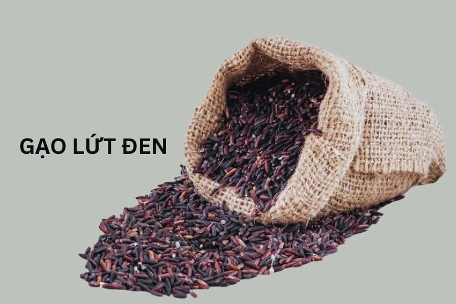 Gạo lứt đen - “Siêu thực phẩm" cho chế độ ăn lành mạnh với vô vàn giá trị dinh dưỡng