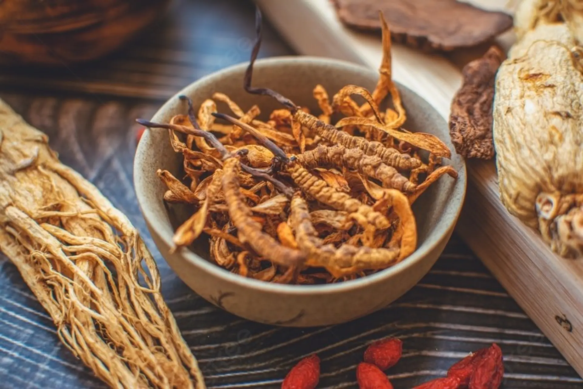 5 cách dùng đông trùng hạ thảo hiệu quả - vị thuốc quý “vô giá" chữa bách bệnh