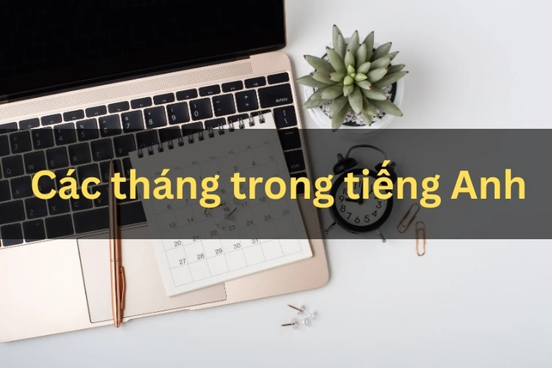 Các tháng trong tiếng Anh: Cách đọc, viết và phát âm chuẩn