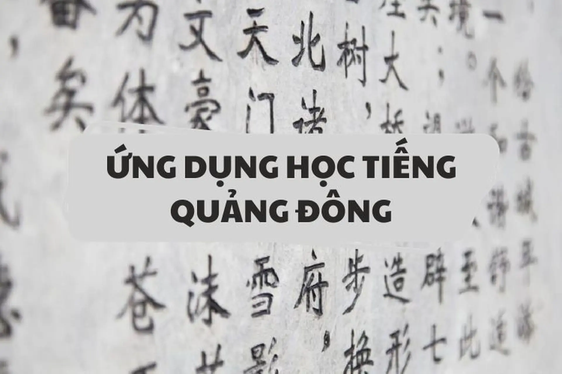 Tổng hợp 6 ứng dụng giúp bạn tự học tiếng Quảng Đông dễ dàng và hiệu quả