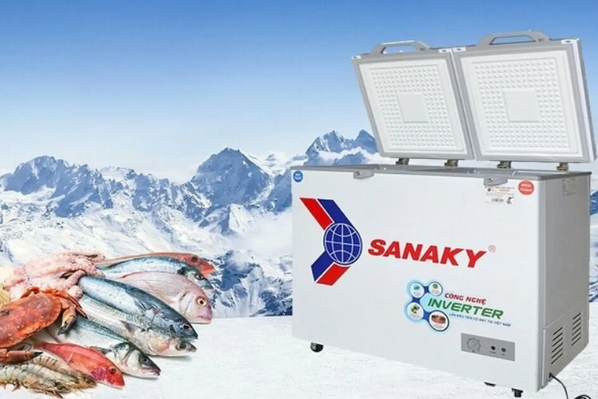 Tìm hiểu cách sử dụng tủ đông Sanaky tăng độ bền và tiết kiệm điện hiệu quả 