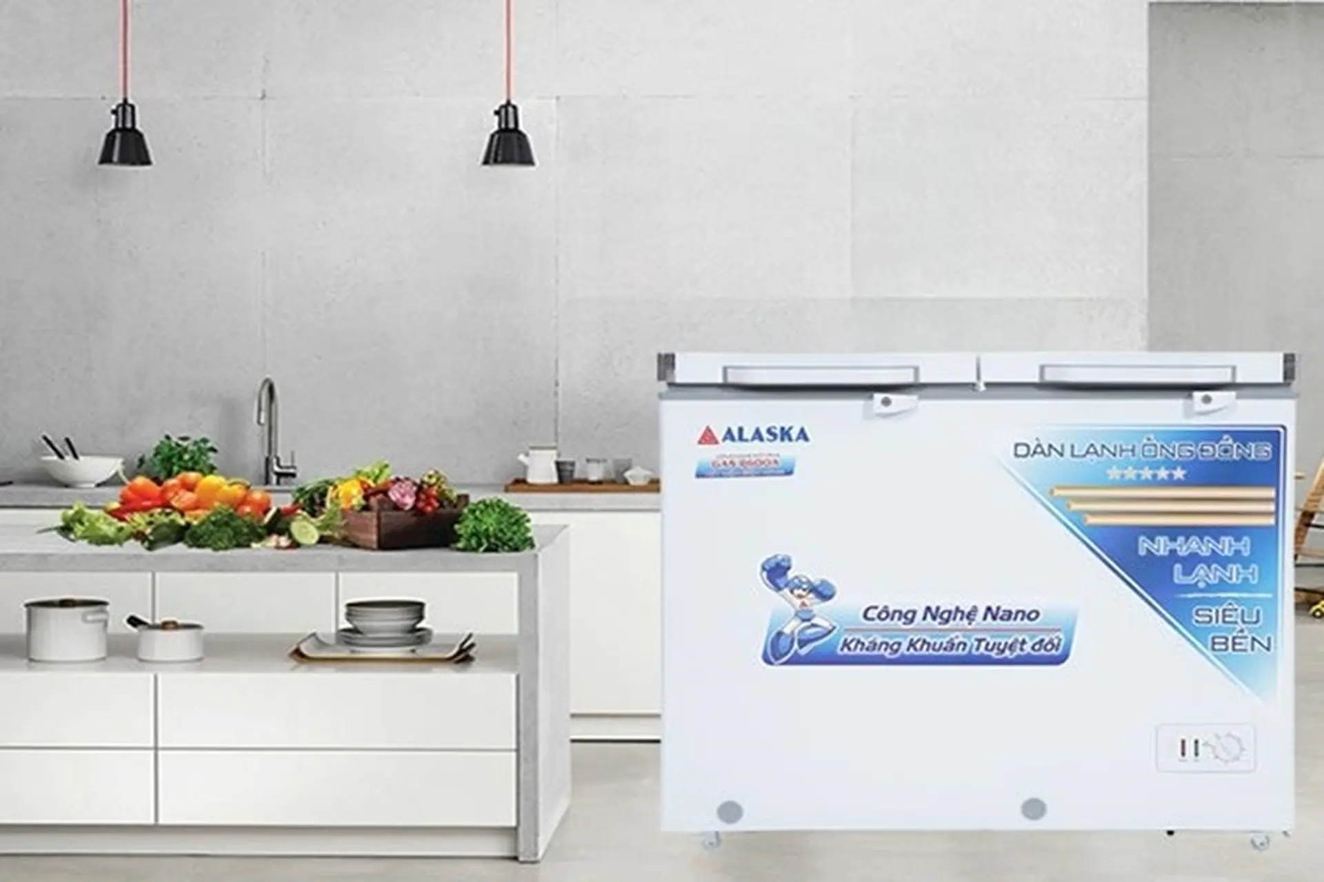 Cách sử dụng tủ đông Alaska hiệu quả nhất là gì? Một số lưu ý khi sử dụng tủ đông Alaska mới mua