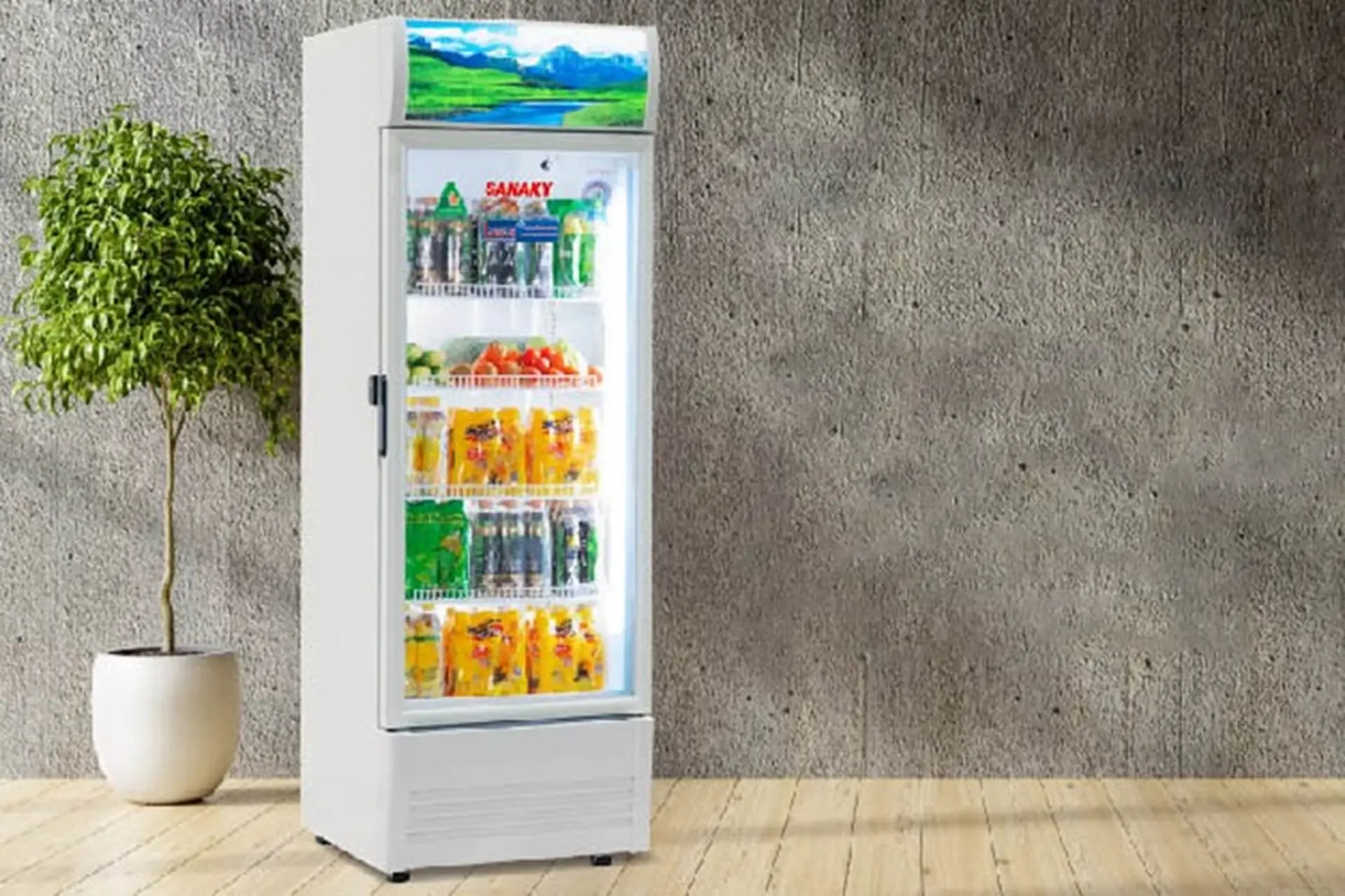 Tủ mát Sanaky của nước nào? Đánh giá chất lượng, tiện ích của tủ mát Sanaky