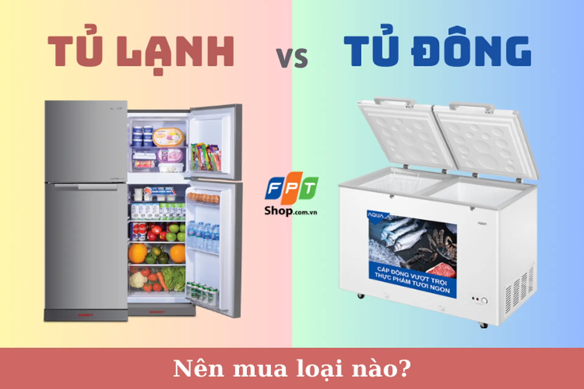 Nên mua tủ lạnh hay tủ đông? Phân tích ưu nhược điểm và so sánh 2 loại thiết bị bảo quản thực phẩm