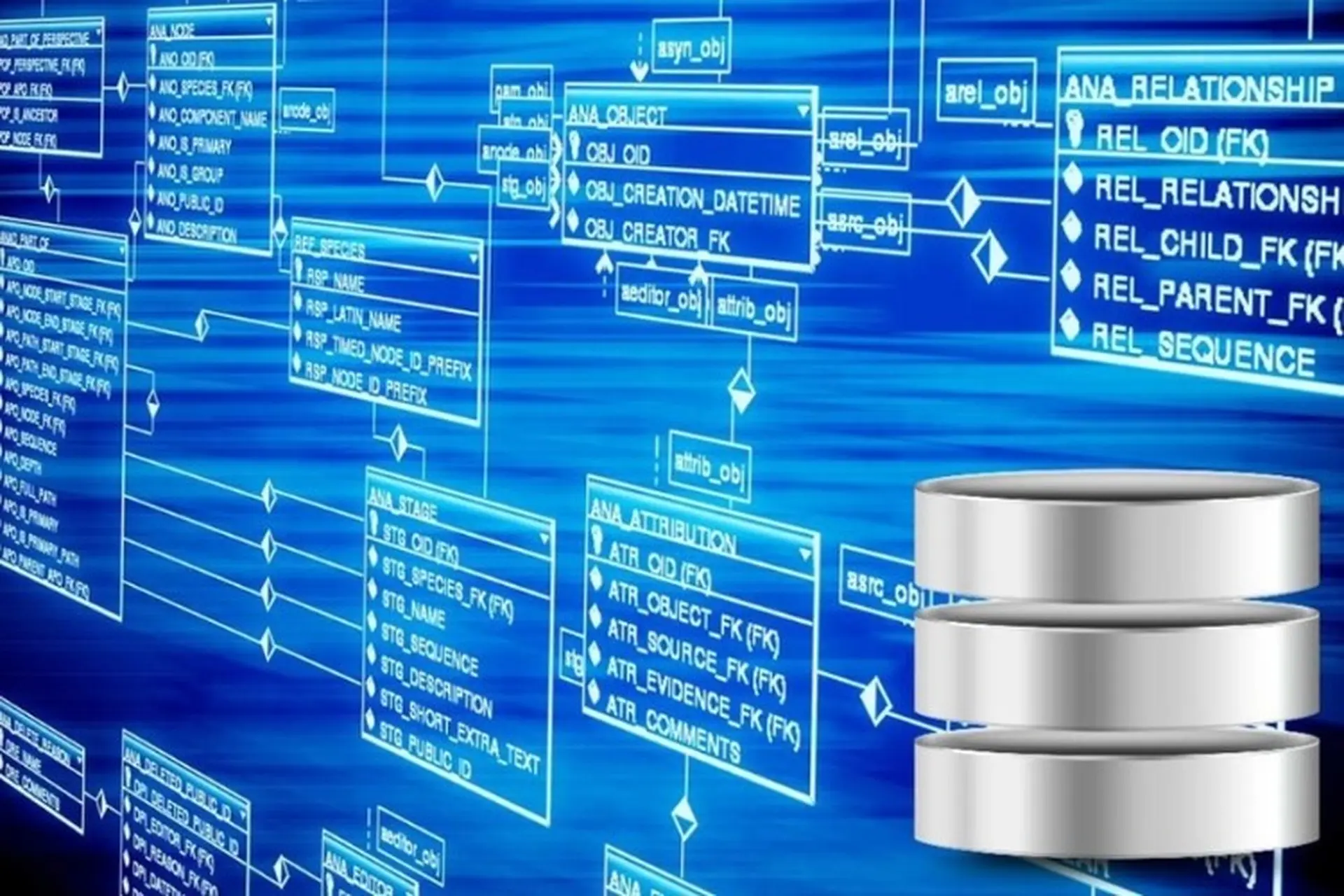 Cơ sở dữ liệu là gì? Khái niệm, mô hình và ứng dụng của cơ sở dữ liệu mà bạn nên biết