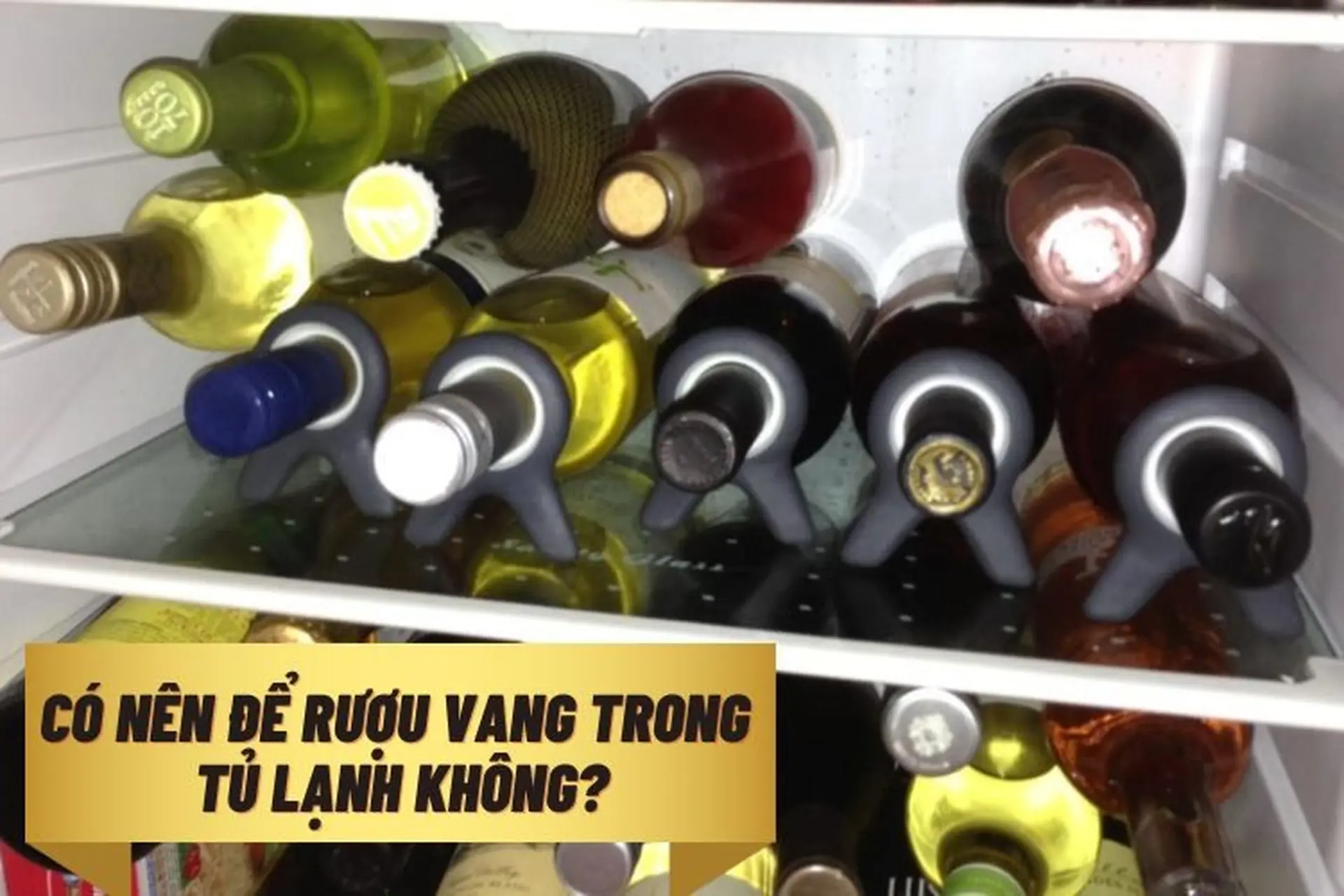 Có nên để rượu vang trong tủ lạnh không? 2 lưu ý cực quan trọng bạn nên biết