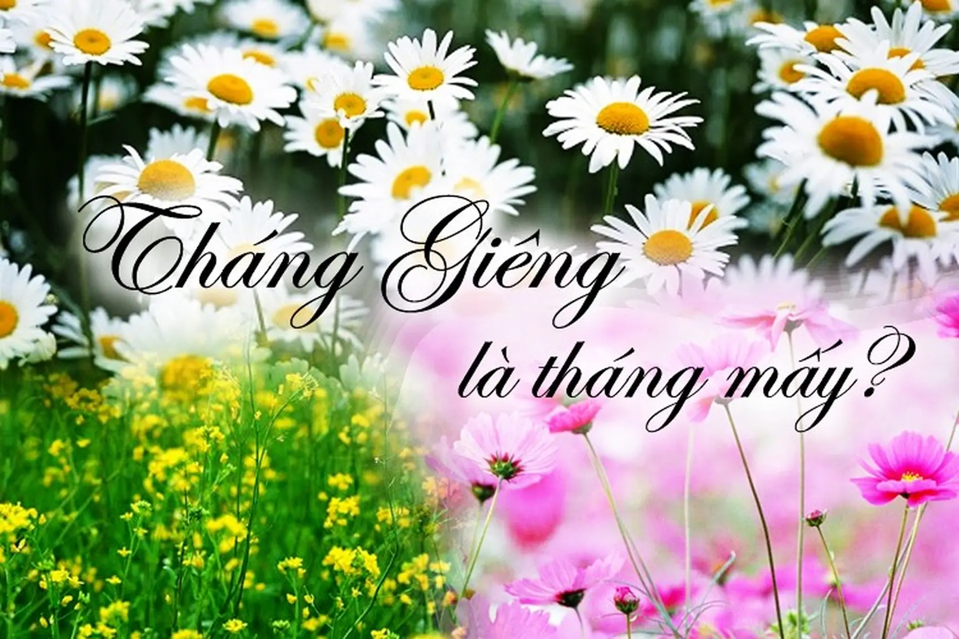 Tháng Giêng là tháng mấy? Tổng hợp những ngày quan trọng và điều kiêng kỵ trong tháng Giêng