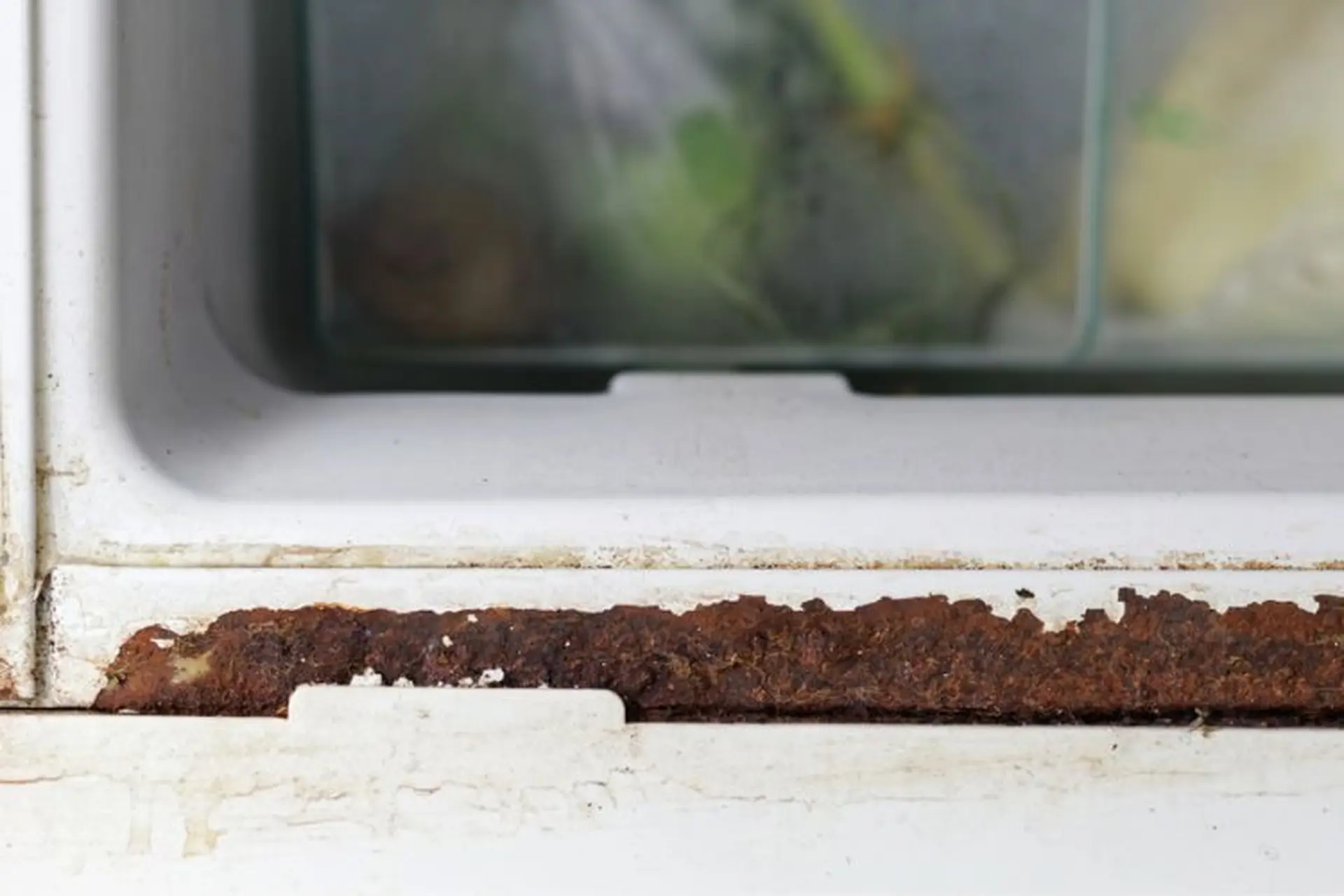 Tìm hiểu những nguyên nhân làm tủ lạnh bị gỉ sét và cách đánh bay các vết gỉ cứng đầu