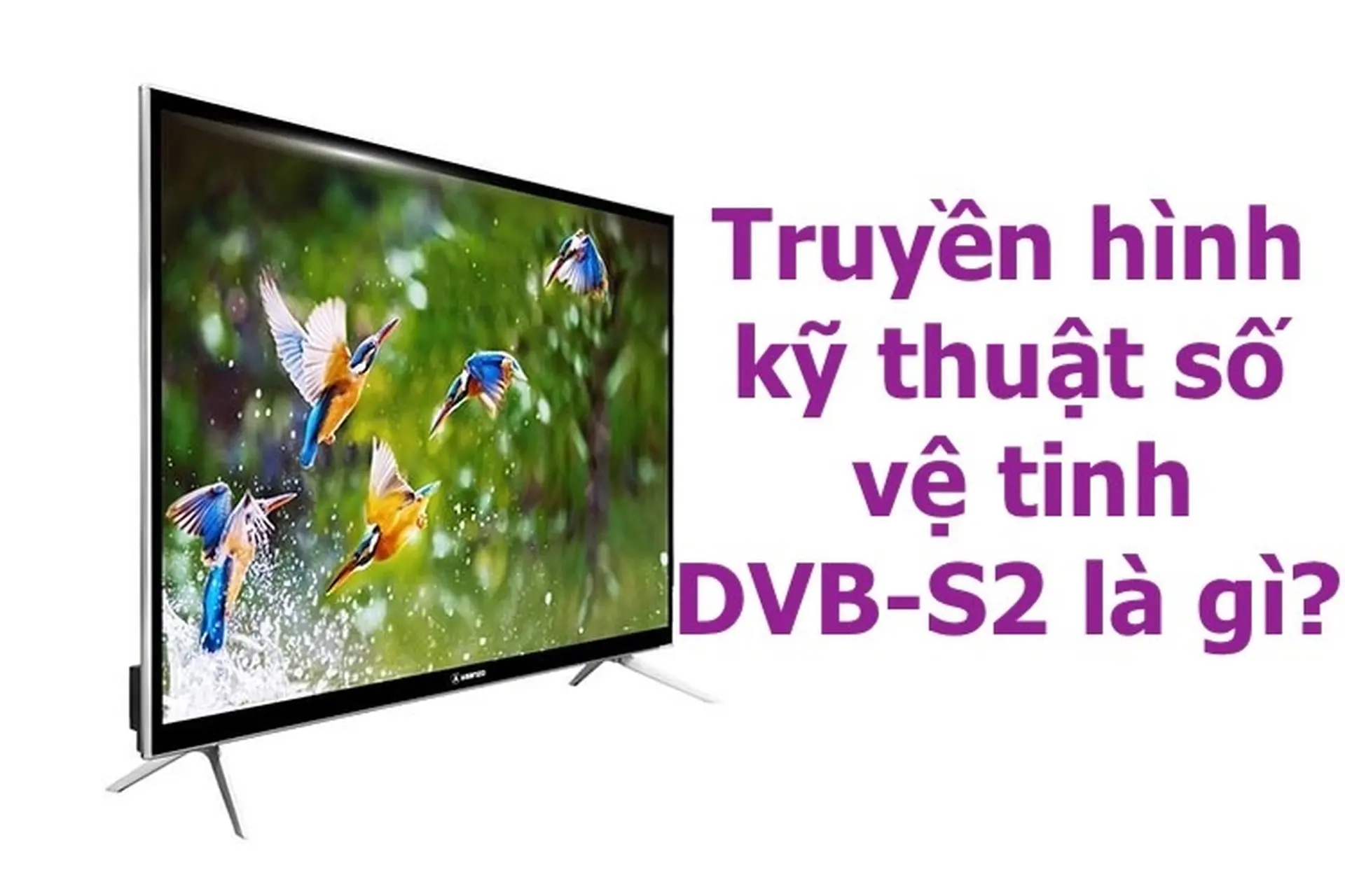 Truyền hình kỹ thuật số vệ tinh DVB-S2 là gì? Những tivi nào trên thị trường hỗ trợ chuẩn này?