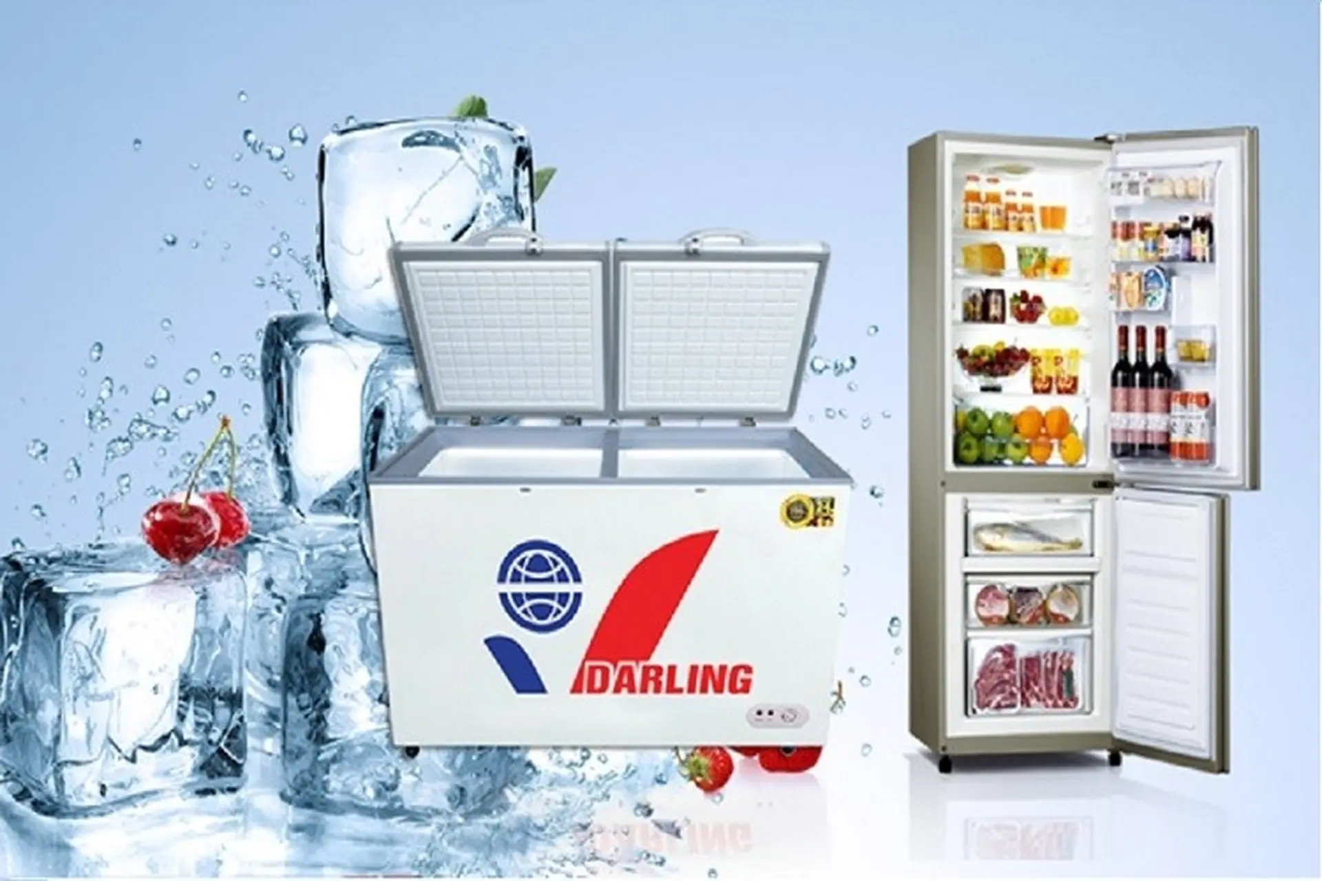 Cách chọn mua tủ đông cho hộ kinh doanh chuẩn không cần chỉnh, bạn đã biết chưa?
