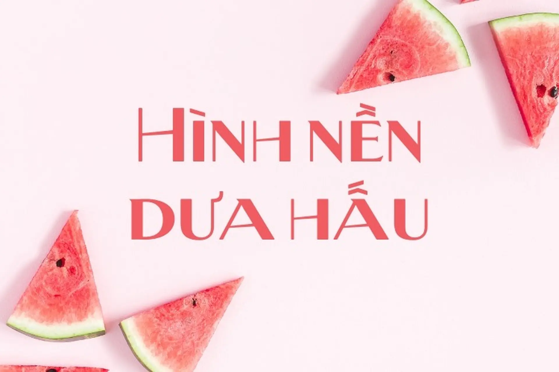 Tải xuống 100+ hình nền dưa hấu đẹp nhất cho điện thoại và máy tính tươi mát cực xinh