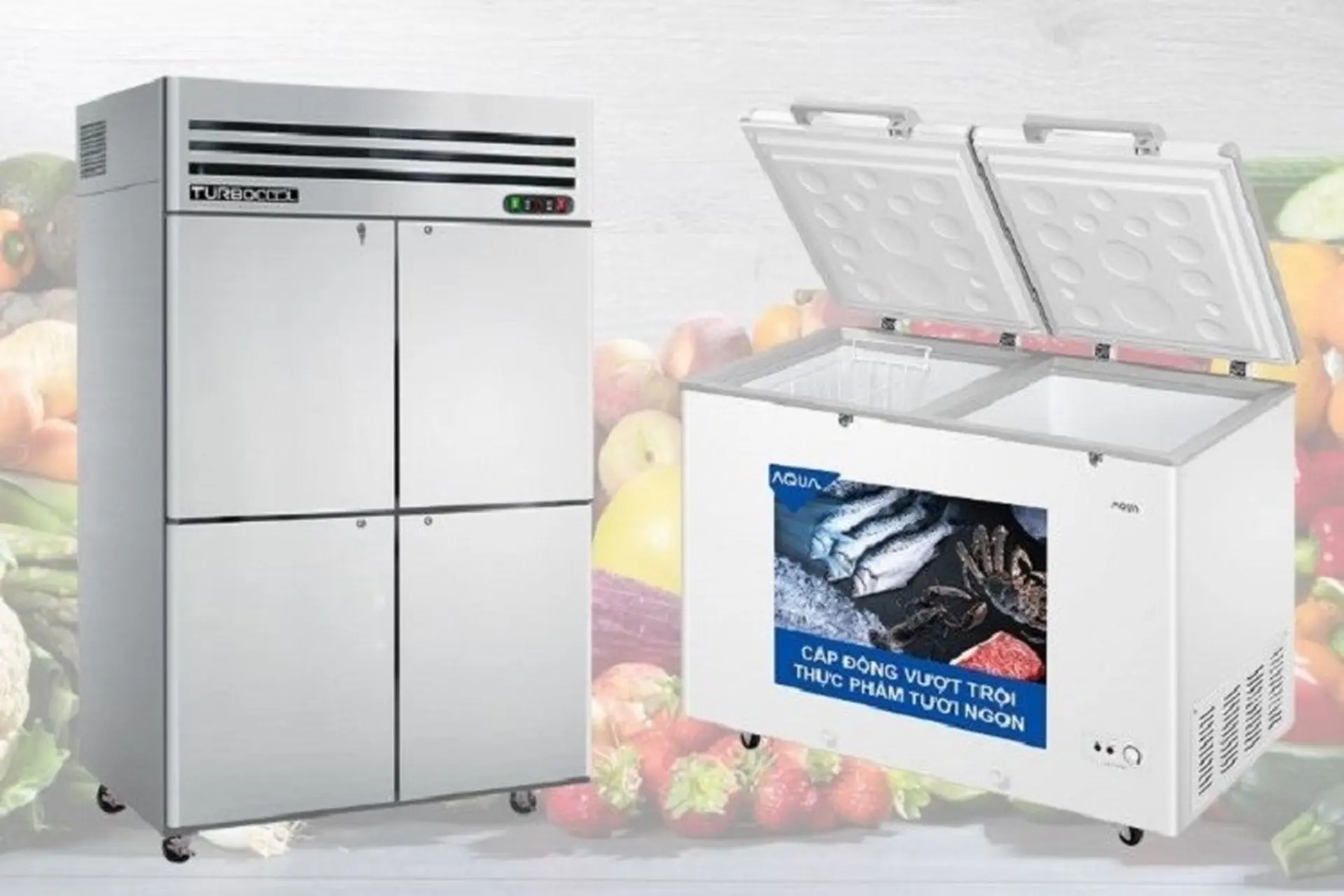 Tiêu chí chọn mua tủ đông công nghiệp để phù hợp với nhu cầu sử dụng, tiết kiệm chi phí