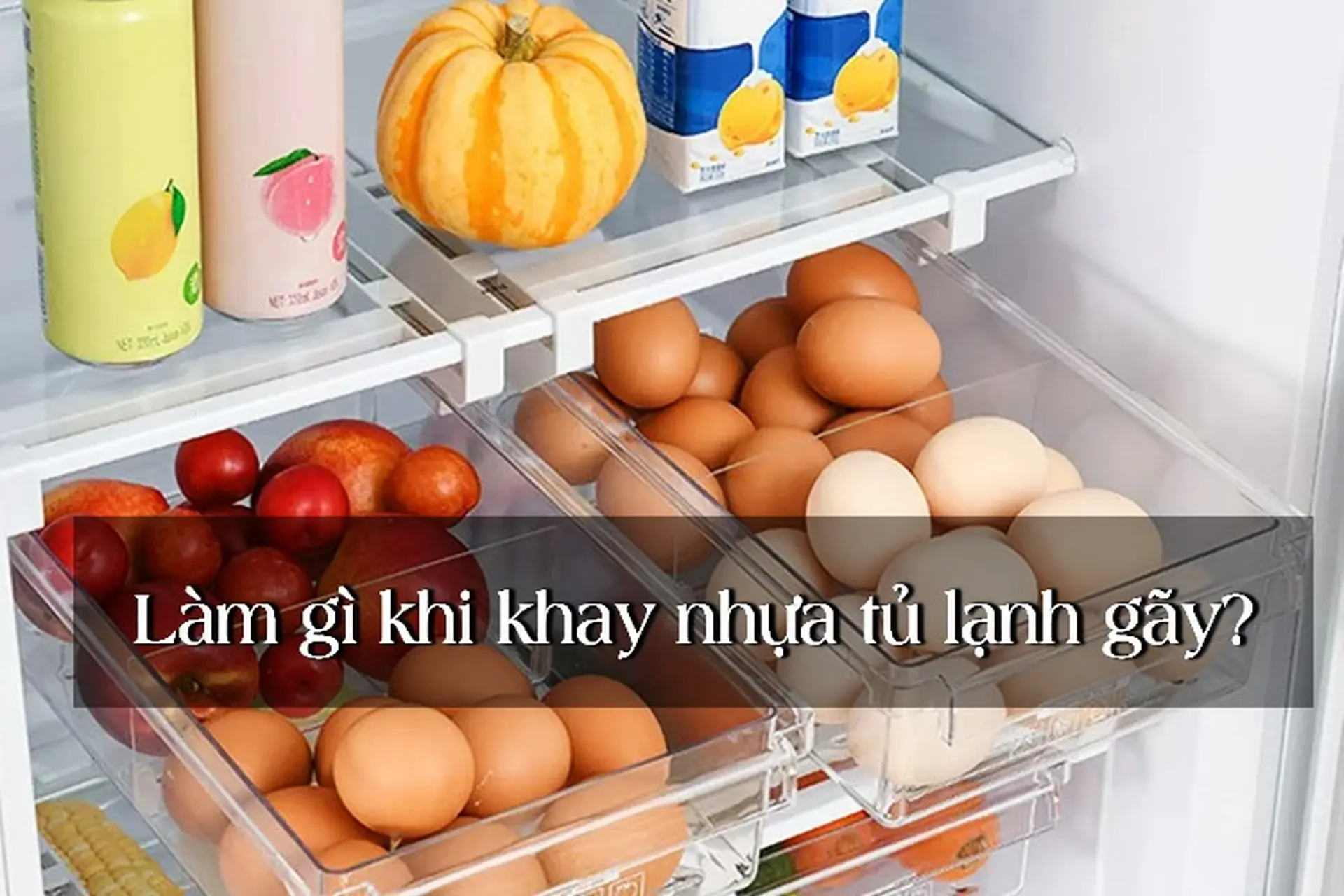 Ngăn nhựa tủ lạnh bị gãy nguyên nhân do đâu? Mẹo khắc phục khay tủ lạnh tốt