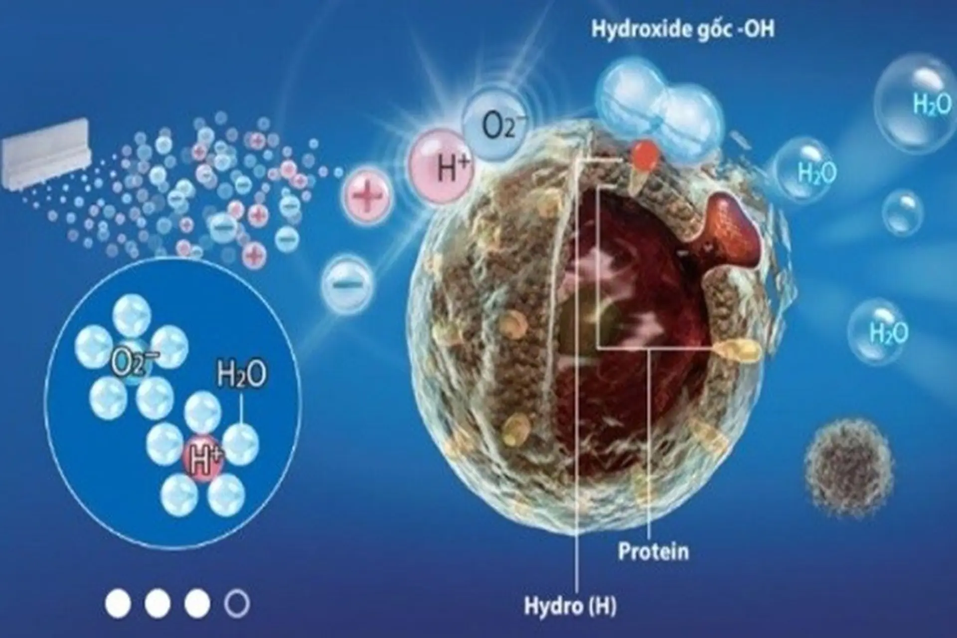Công nghệ Plasmacluster Ion trên máy lạnh Sharp là gì và những lợi ích mà nó mang lại cho sức khỏe