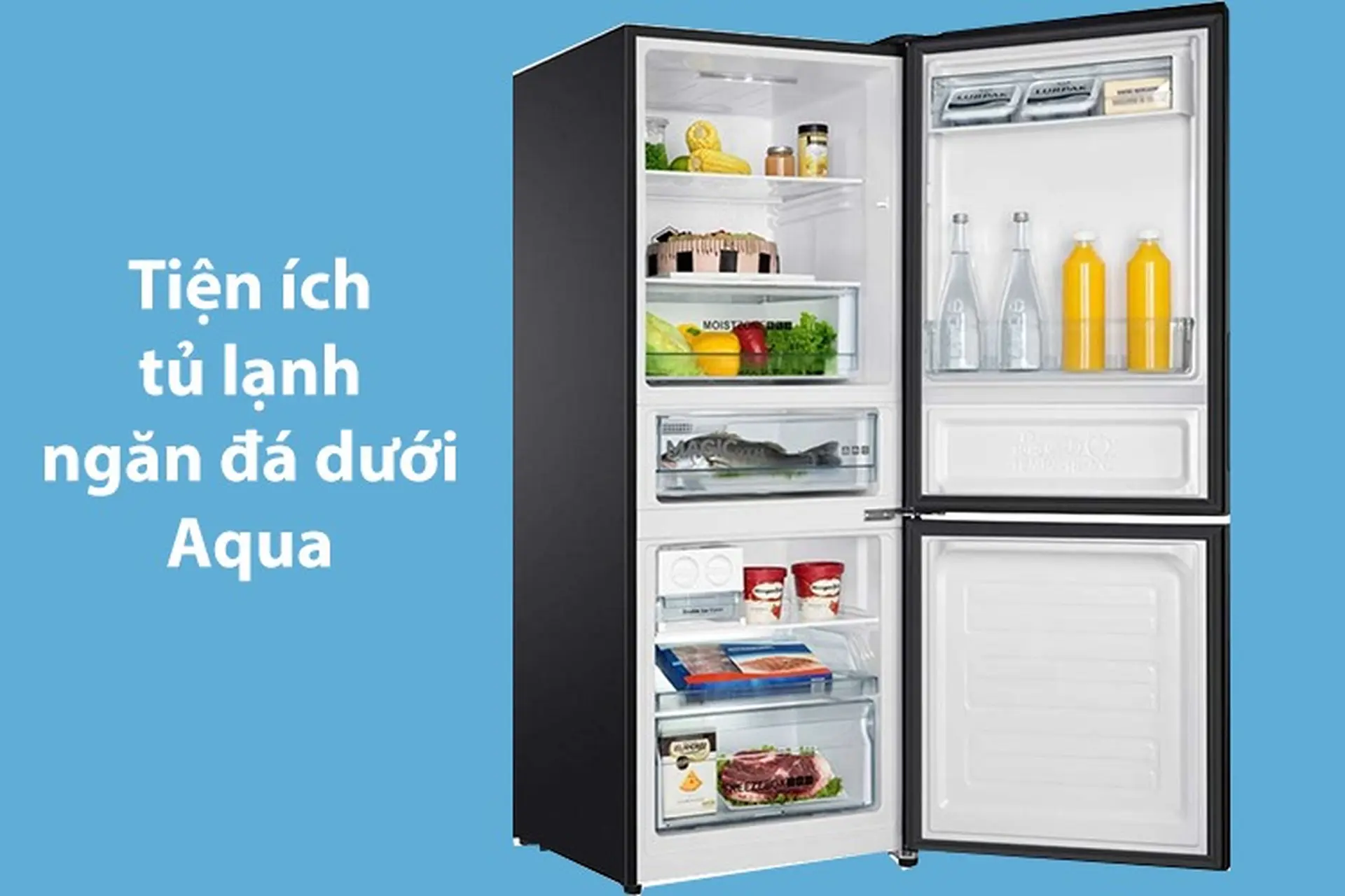Khám phá những tiện ích tủ lạnh ngăn đá dưới Aqua: Có thực sự hữu ích không?