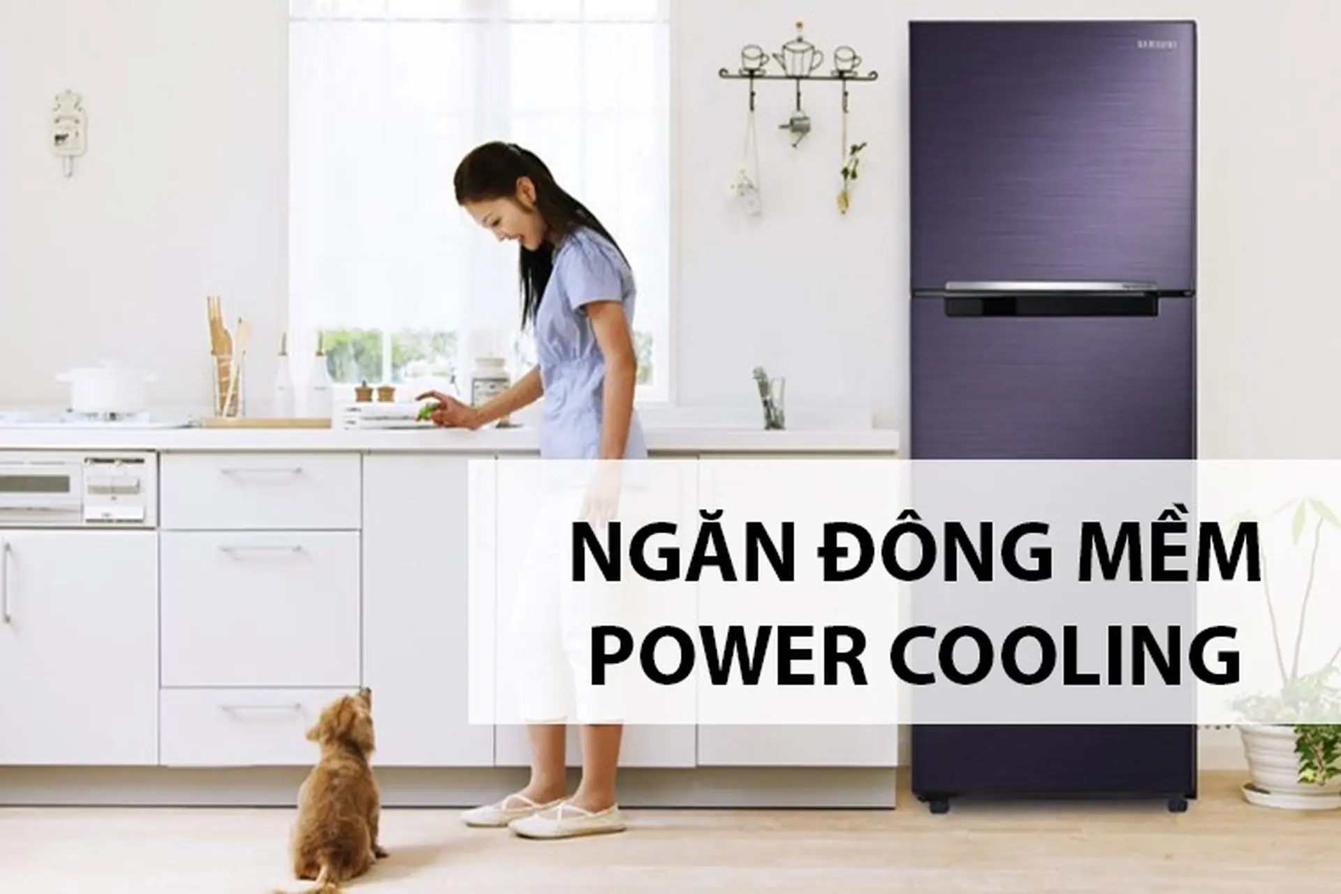Ngăn đông mềm Power Cooling của tủ lạnh Samsung - Bí quyết bảo quản thực phẩm tươi ngon