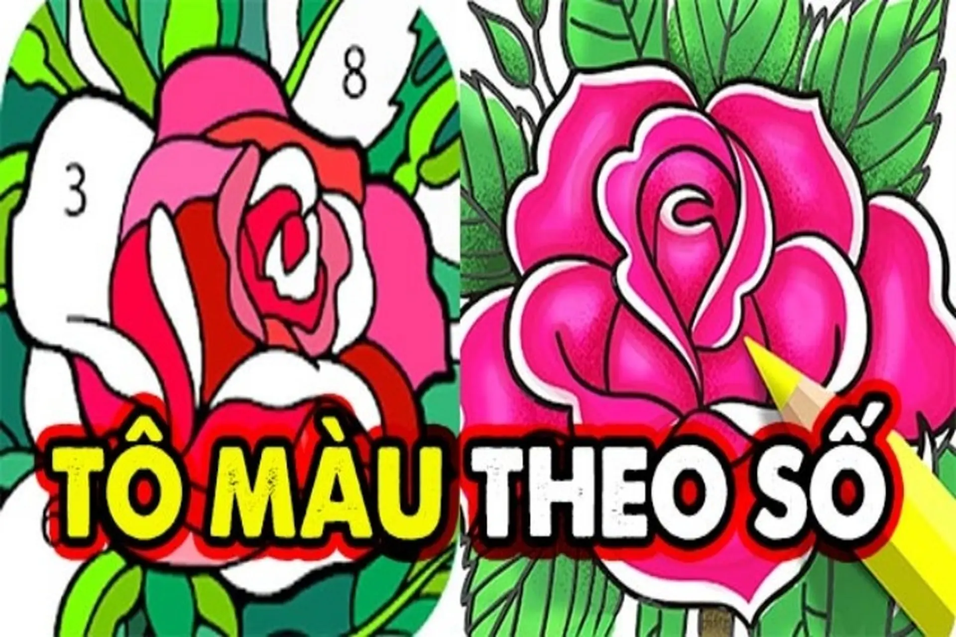 Trò chơi tô màu theo số - tựa game giải trí đơn giản giảm căng thẳng hiệu quả