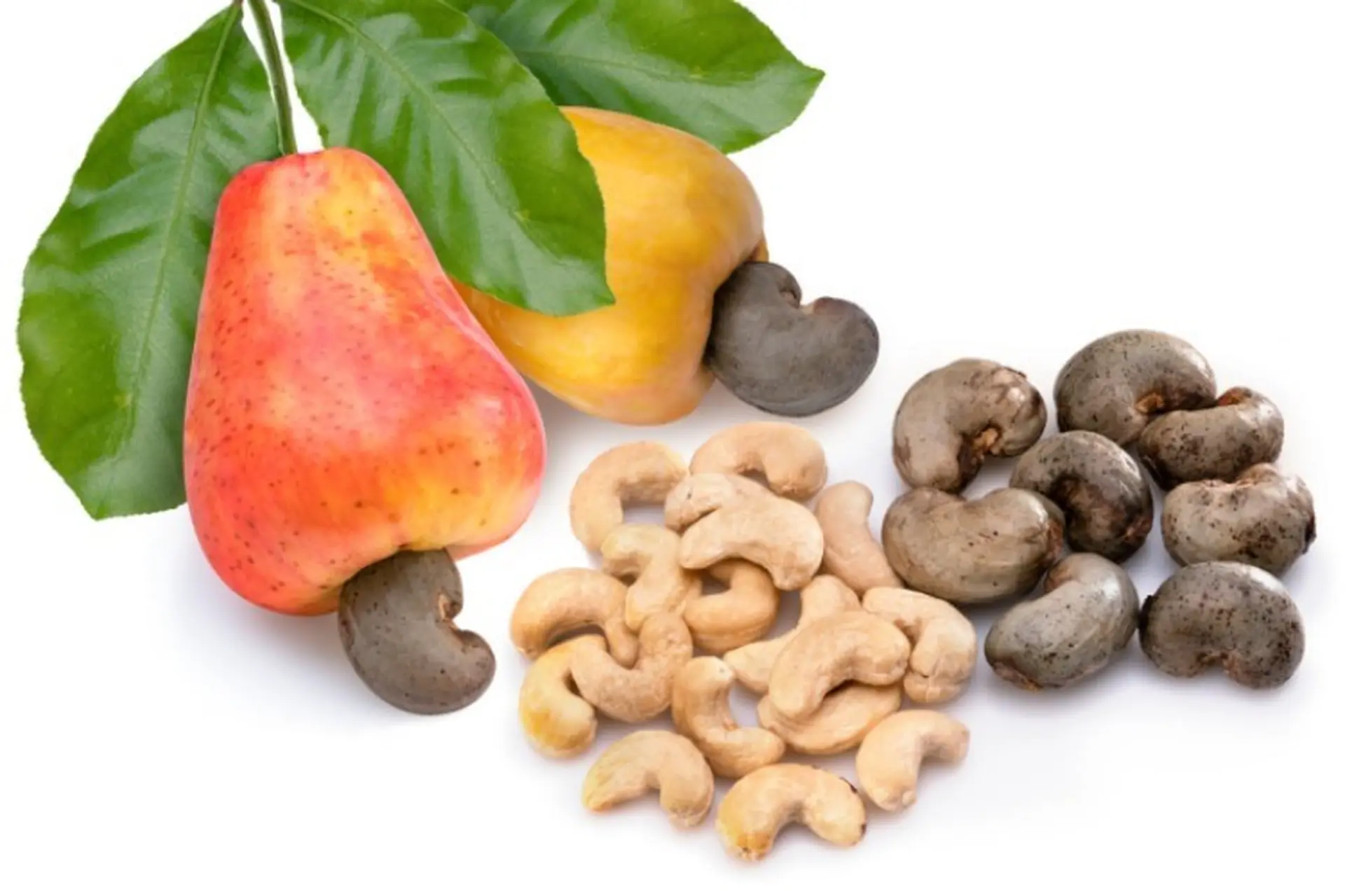 Những tác dụng của hạt điều rất tốt cho sức khỏe mà không phải ai cũng biết