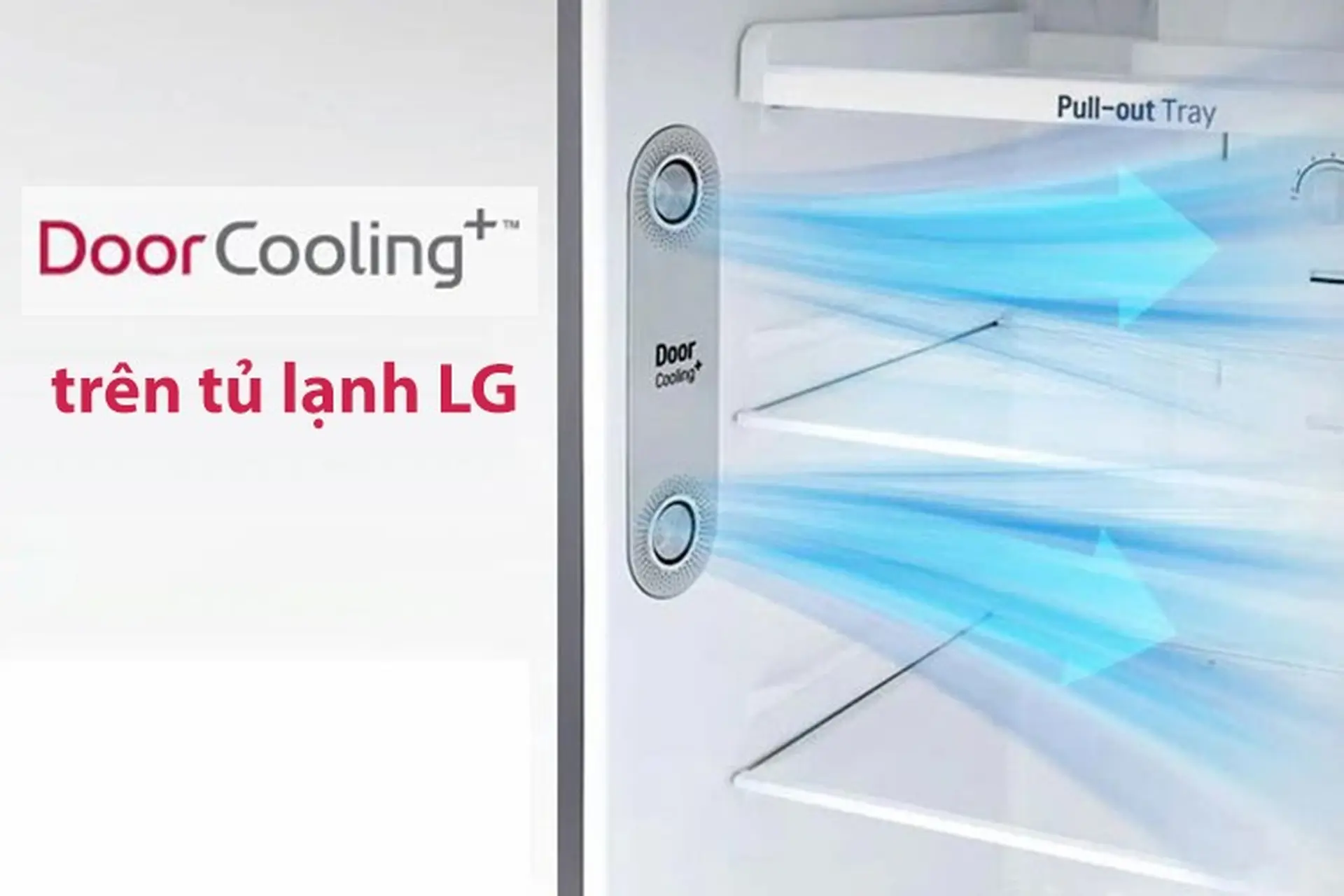 Công nghệ Door Cooling+ trên tủ lạnh LG là gì? Nguyên lý hoạt động và những lợi ích đột phá