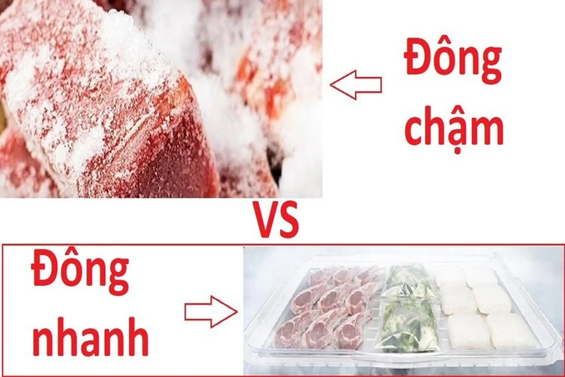 Phân biệt cấp đông nhanh và cấp đông chậm