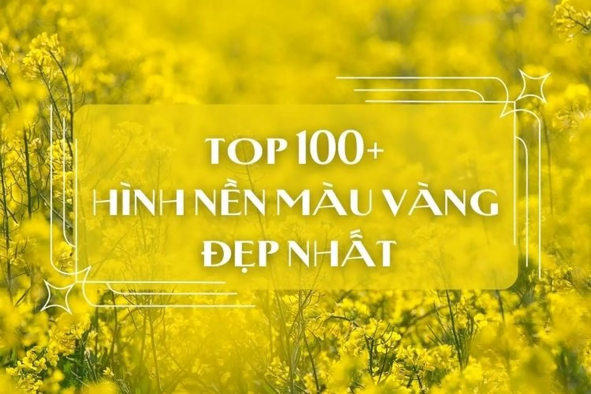 Lưu ngay 100+ hình nền màu vàng sống động, tươi tắn nhất để làm mới màn hình thiết bị của bạn