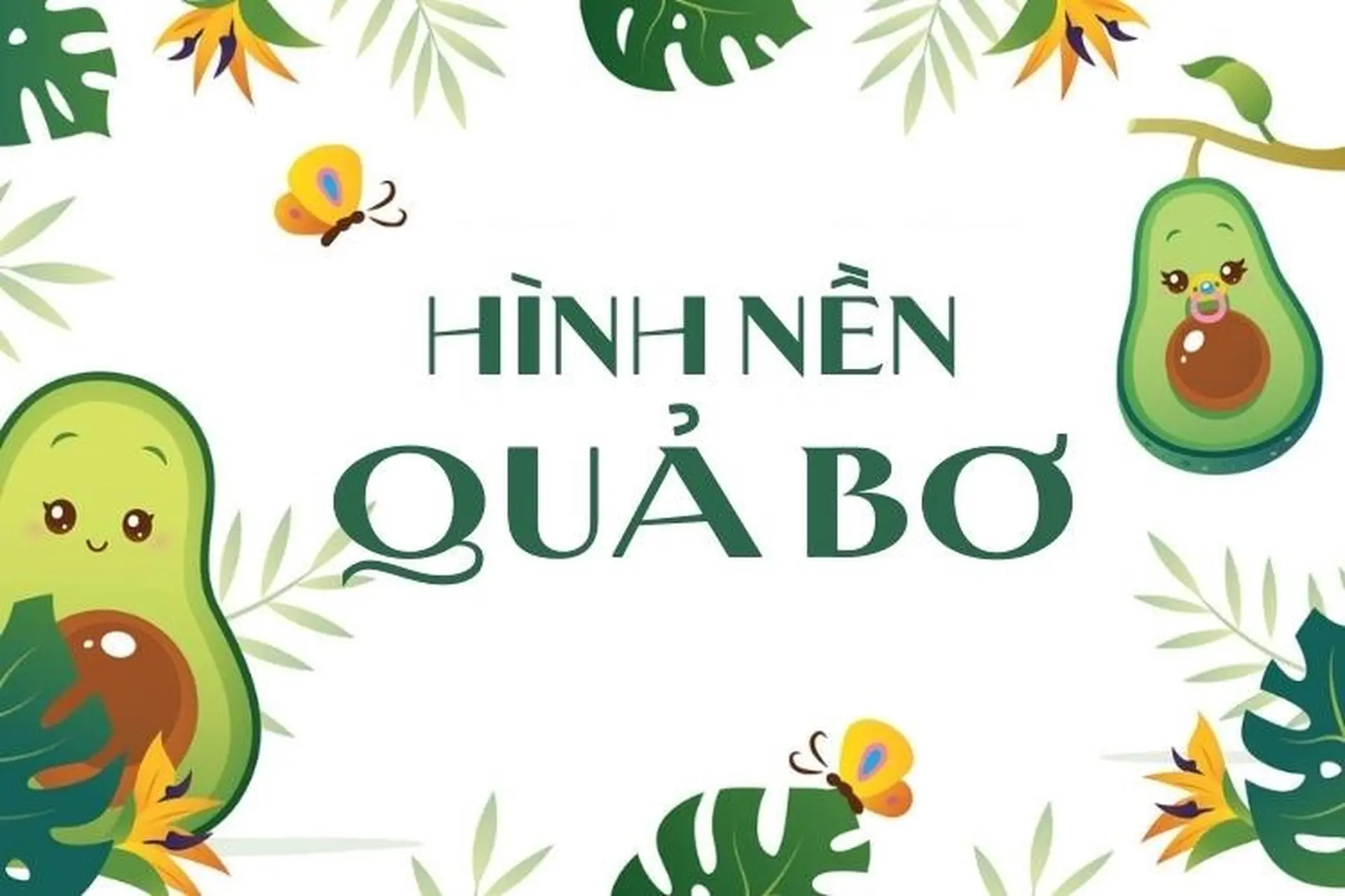 Tổng hợp 100+ hình nền quả bơ cho điện thoại và máy tính hot nhất - đa dạng phong cách