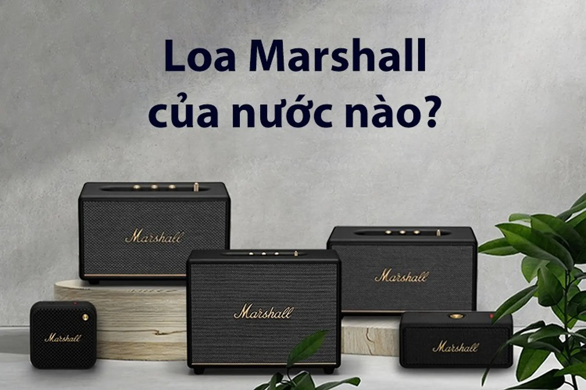 Loa Marshall của nước nào? Ưu điểm và các dòng loa nổi bật của thương hiệu Marshall