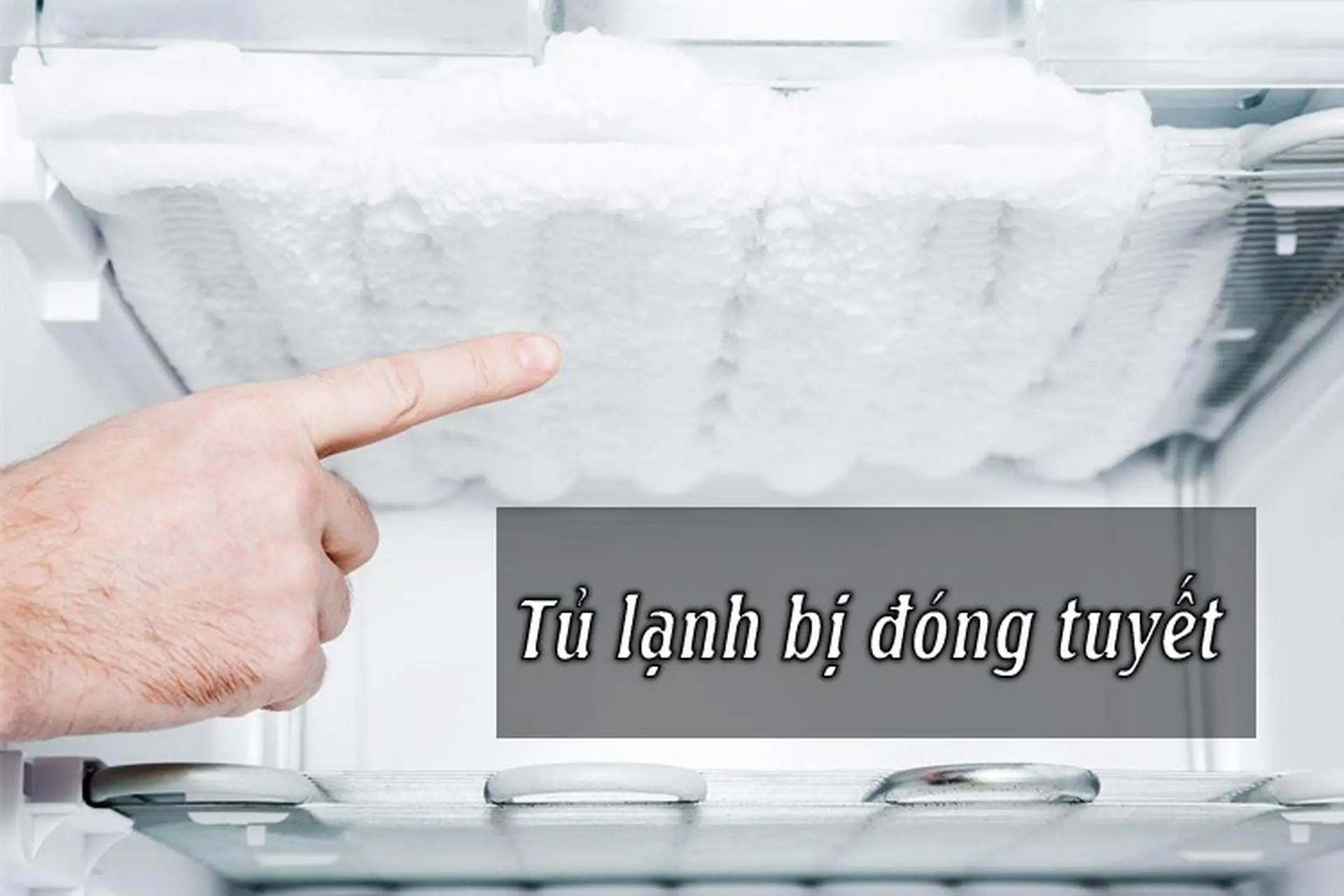 Tủ lạnh bị đóng tuyết do đâu? Nguyên nhân và cách khắc phục nhanh chóng tại nhà