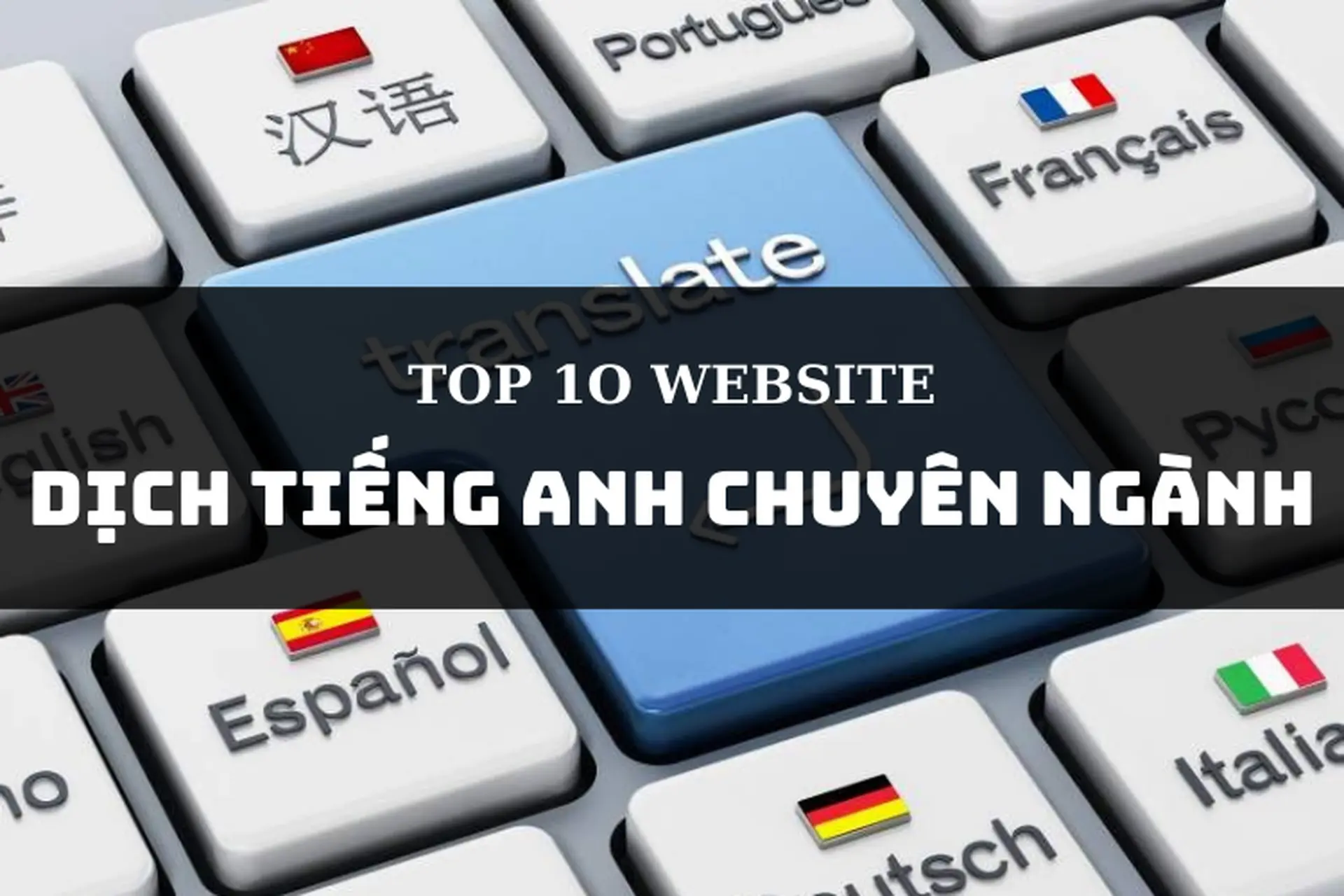TOP 10 website dịch tiếng Anh chuyên ngành chuẩn nhất và chính xác nhất cho công việc và học tập