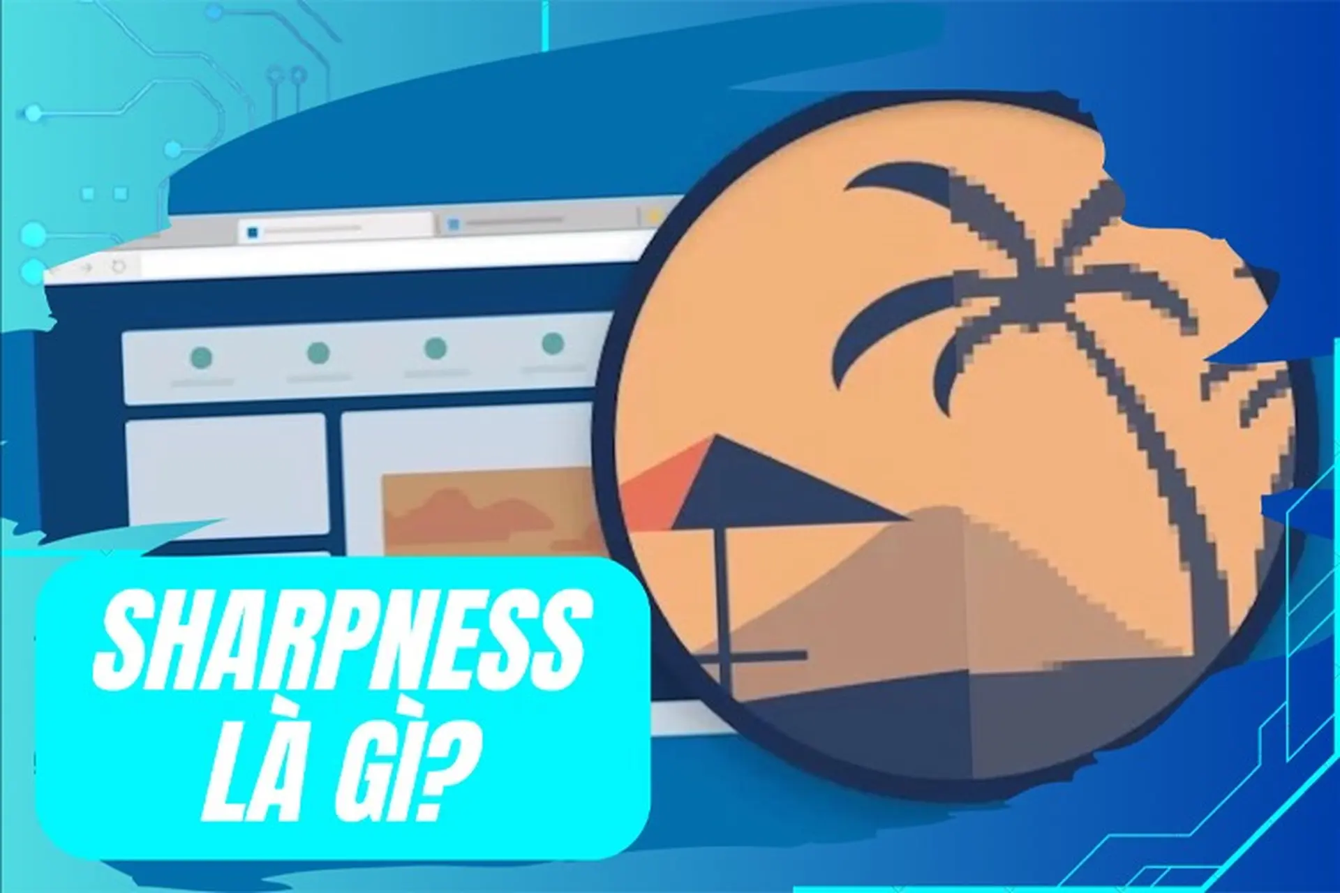 Sharpness là gì? Những yếu tố quan trọng nào tạo nên một bức ảnh sắc nét?