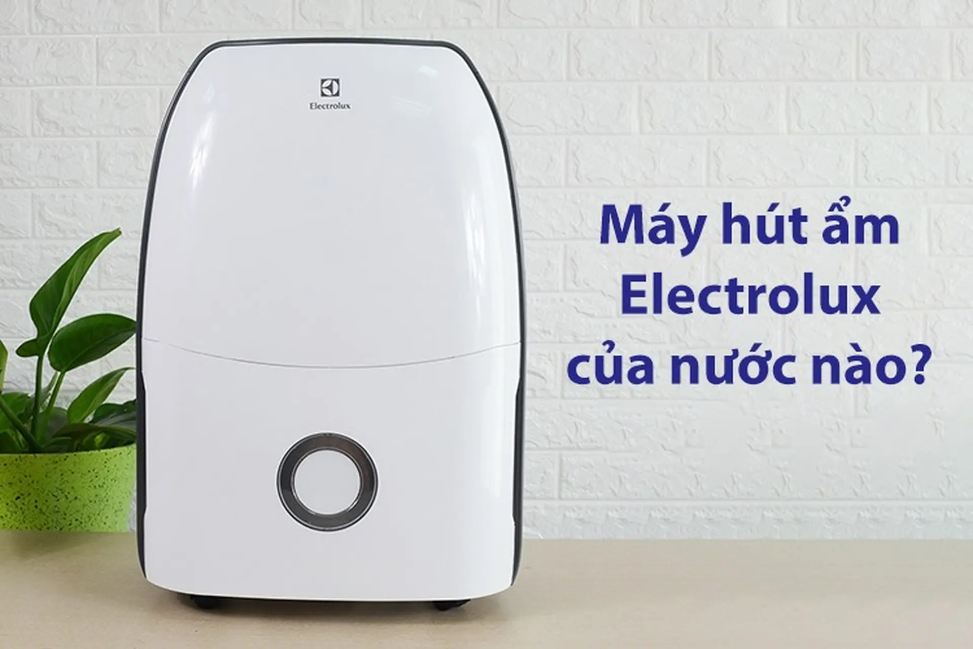 Máy hút ẩm Electrolux của nước nào? Đánh giá tổng quan về máy hút ẩm Electrolux