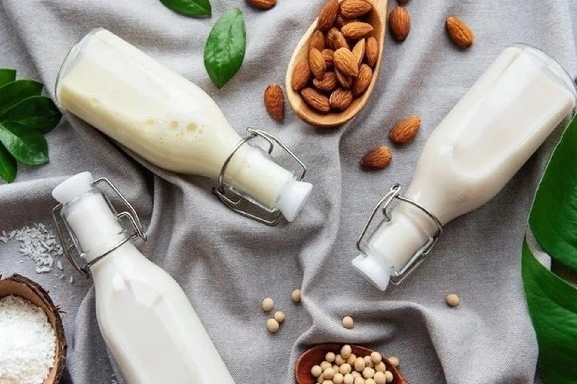 Sữa hạt có tác dụng gì và những thông tin hữu ích về sữa hạt có thể bạn chưa biết