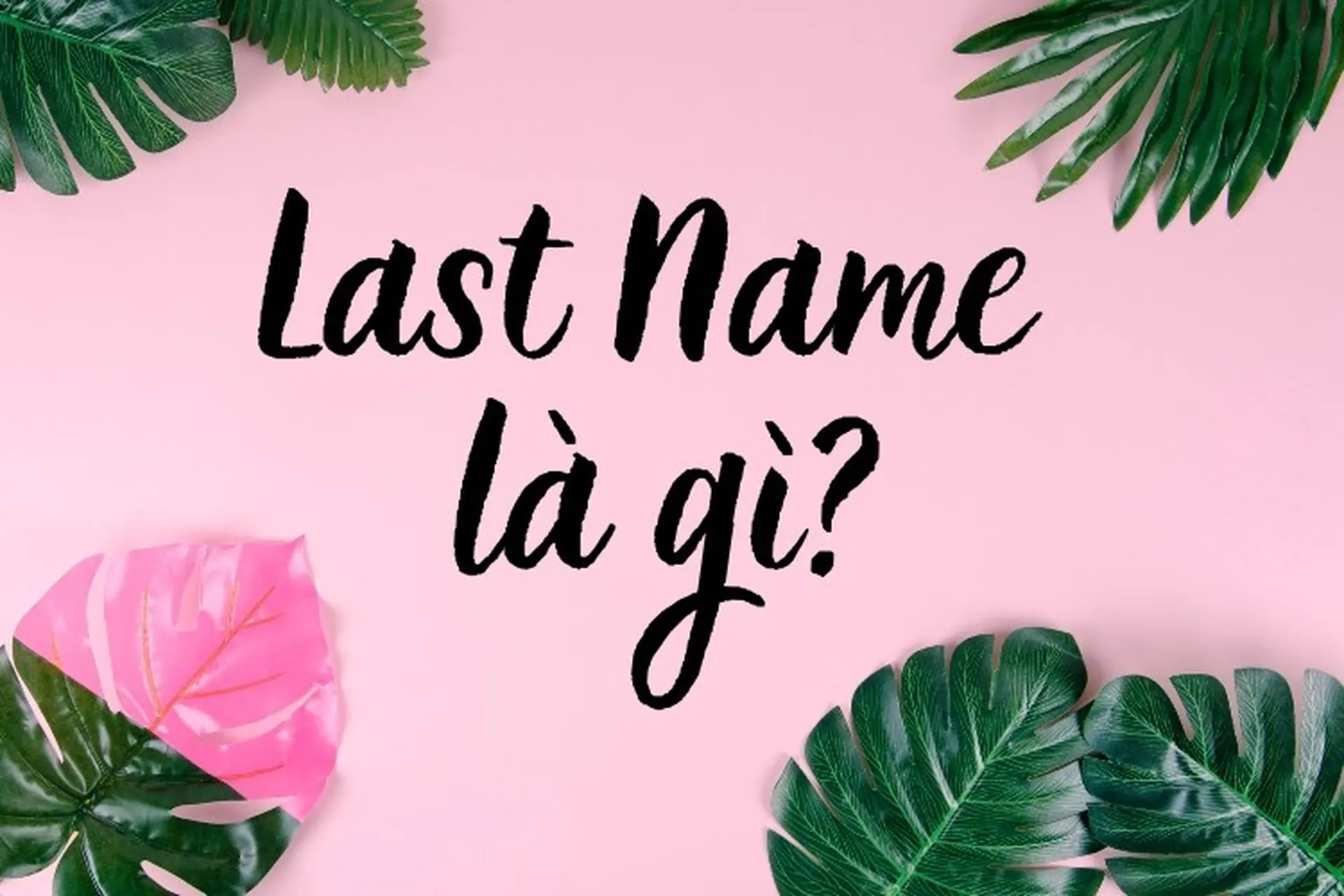 Last Name Explanation