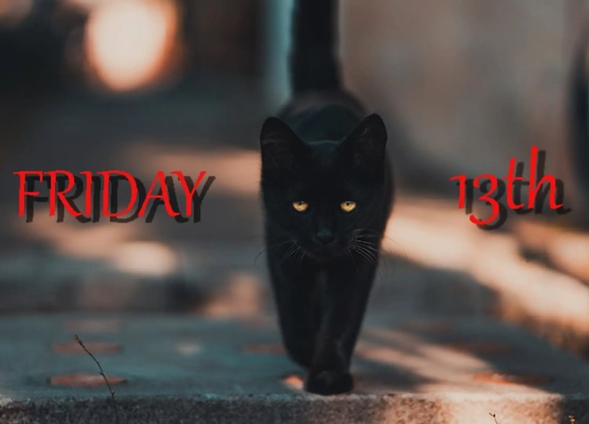 Thứ 6 ngày 13 là ngày gì? 10+ điều không nên làm, phải kiêng kỵ trong ngày này 