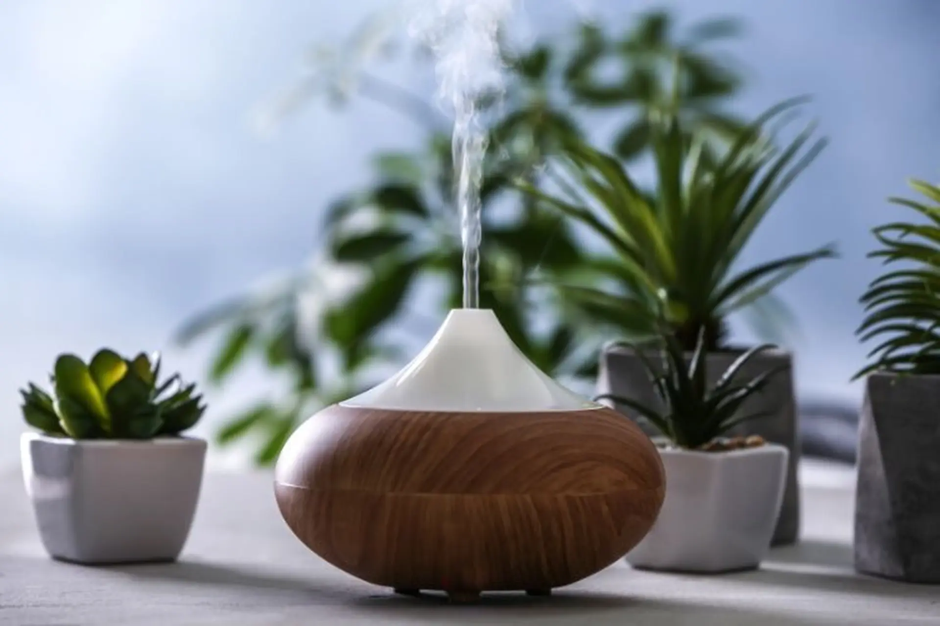 Máy xông tinh dầu loại nào tốt? Các thương hiệu phổ biến trên thị trường hiện nay