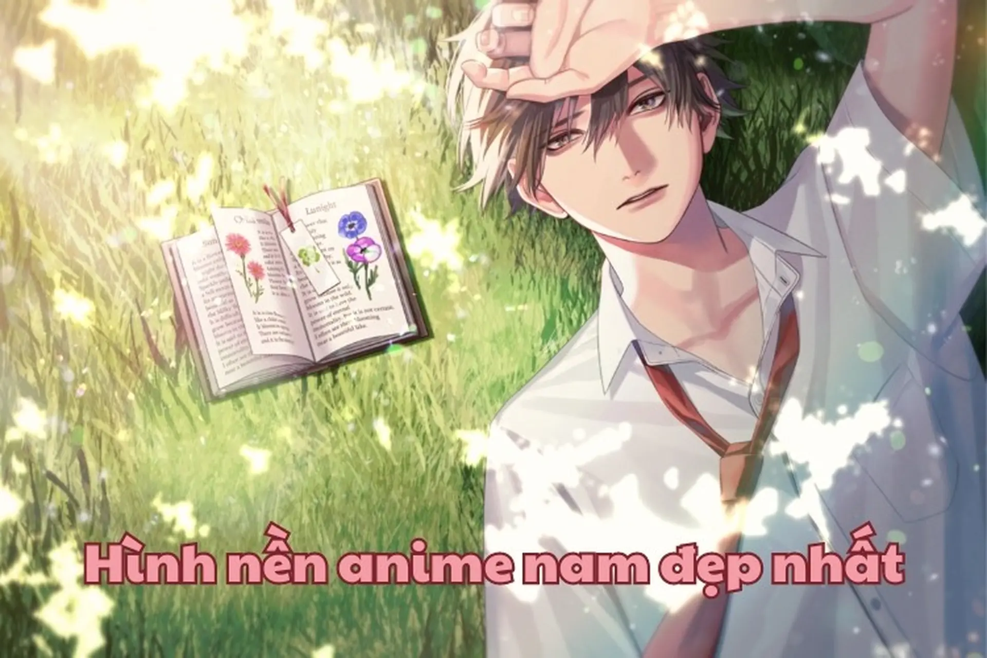 200+ hình nền anime nam đẹp, cool ngầu chất lượng full HD, 4K dành cho điện thoại và máy tính