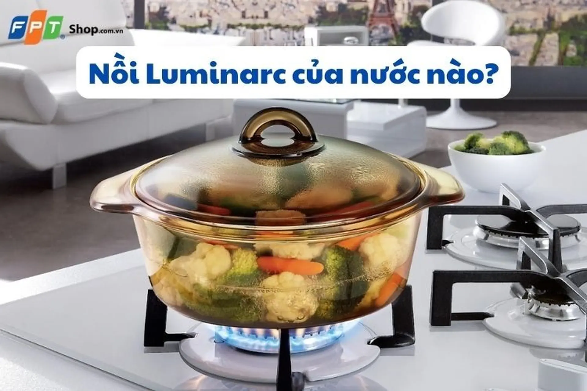 Nồi Luminarc của nước nào? Có nên mua không? Nồi Luminarc loại nào tốt nhất?