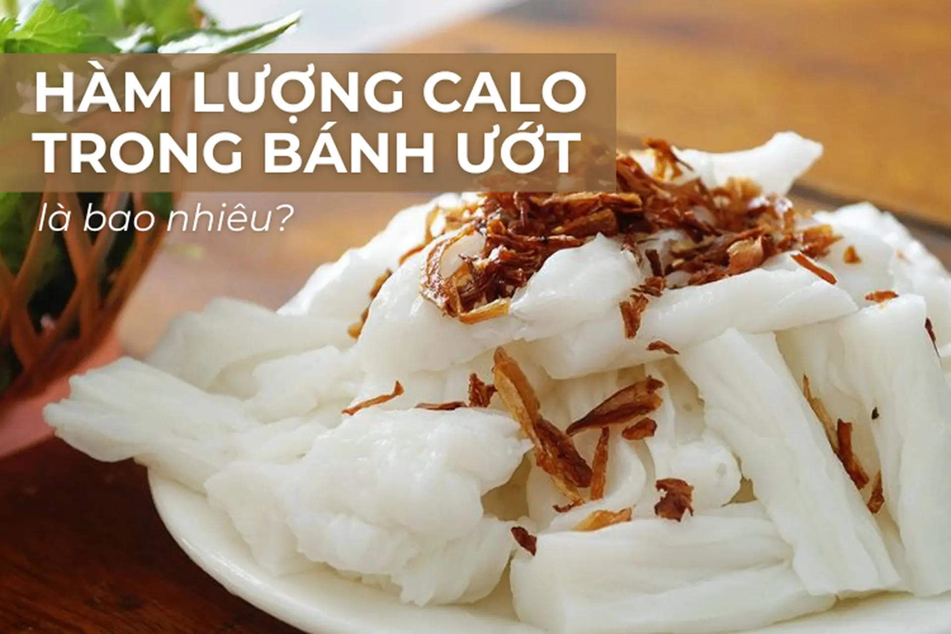 Bánh ướt bao nhiêu calo? Ăn bánh ướt có béo không? Giảm cân có nên ăn loại bánh này?