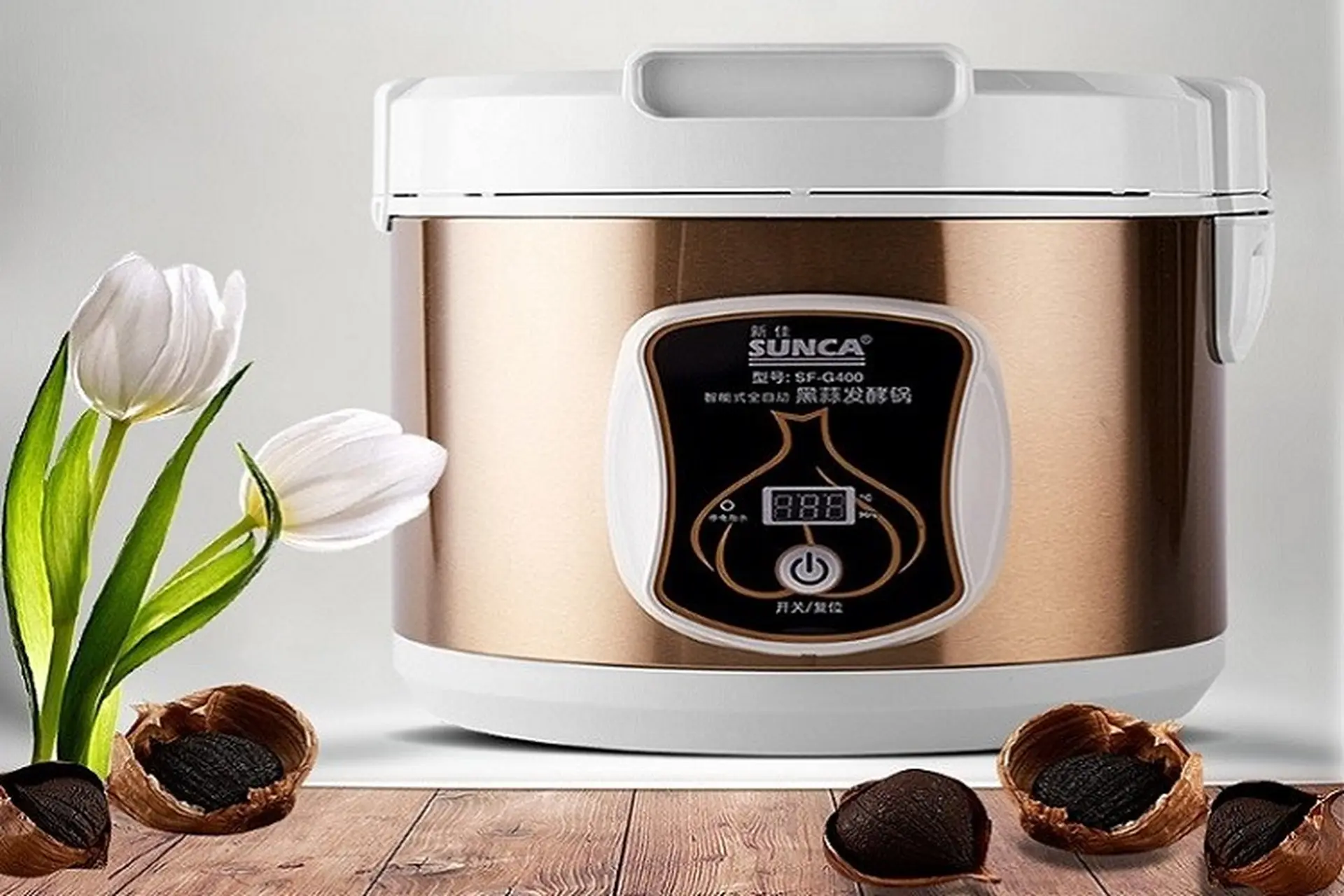 Mua máy làm tỏi đen tốt: 07 tiêu chí quan trọng nhất định bạn phải xem xét kỹ