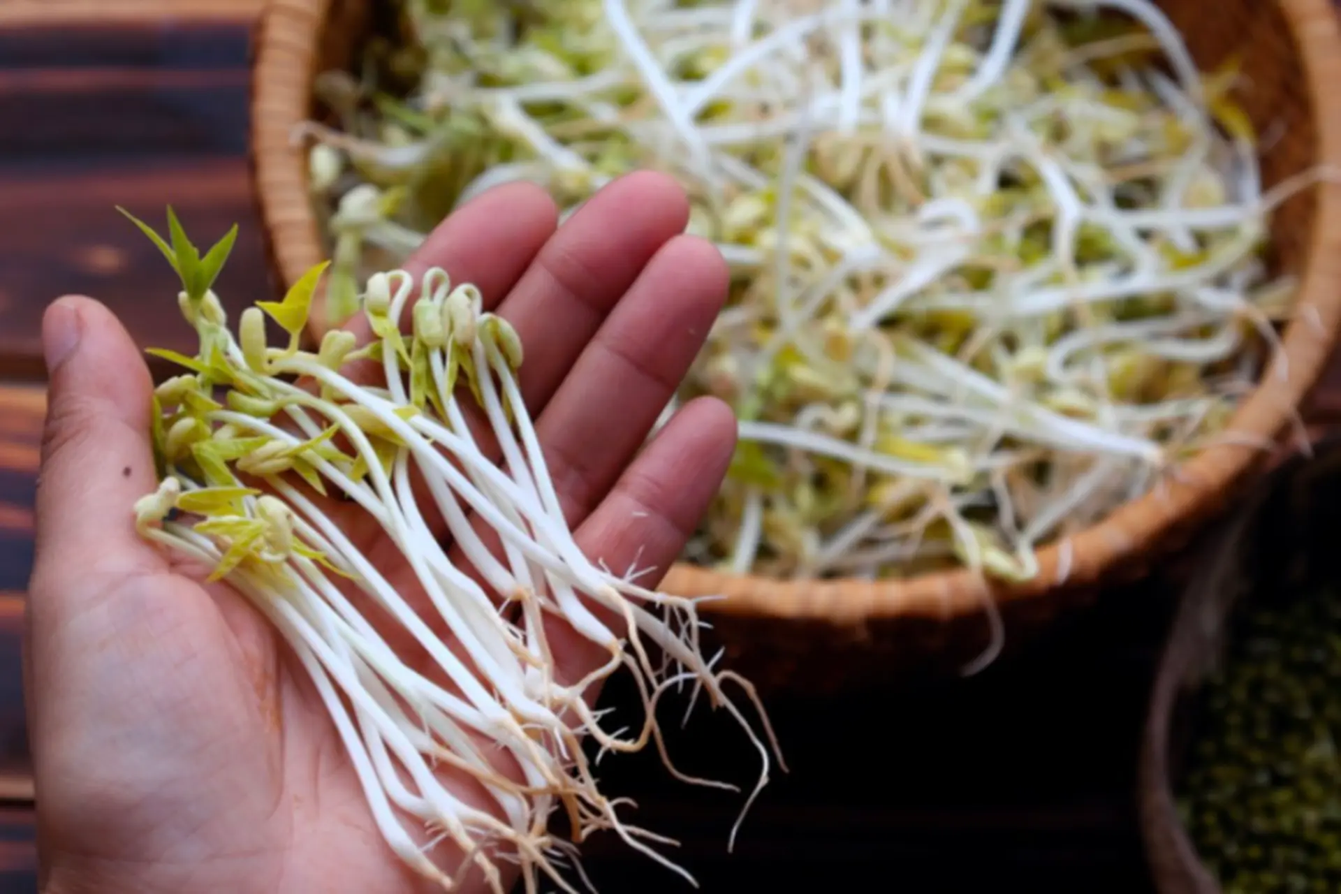 100g giá bao nhiêu calo? Những lợi ích bất ngờ khi ăn giá đỗ mà có thể bạn không biết