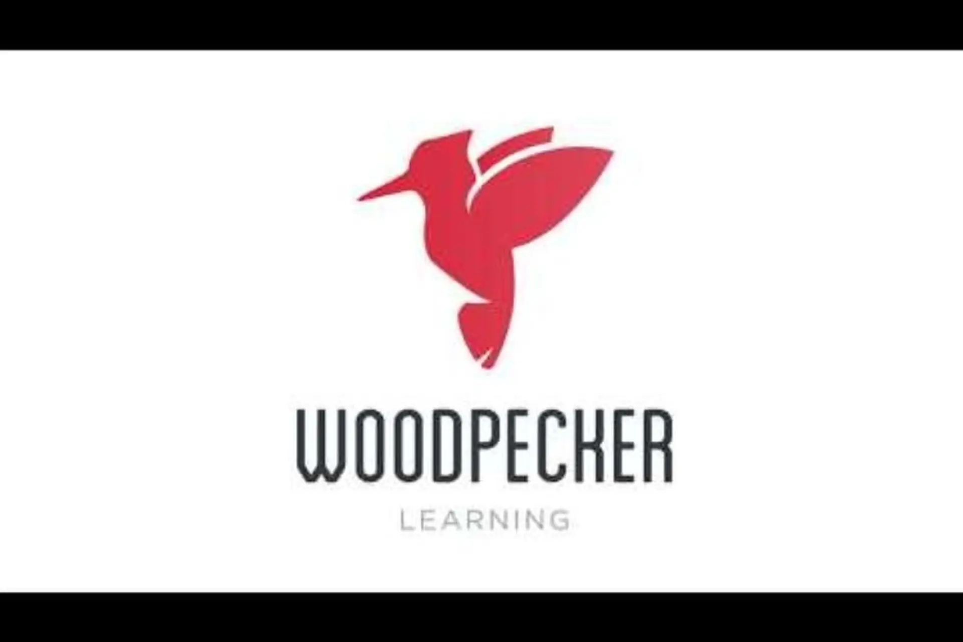 Woodpecker: Học Tiếng Anh thông qua video với vô vàn chủ đề cho bạn lựa chọn