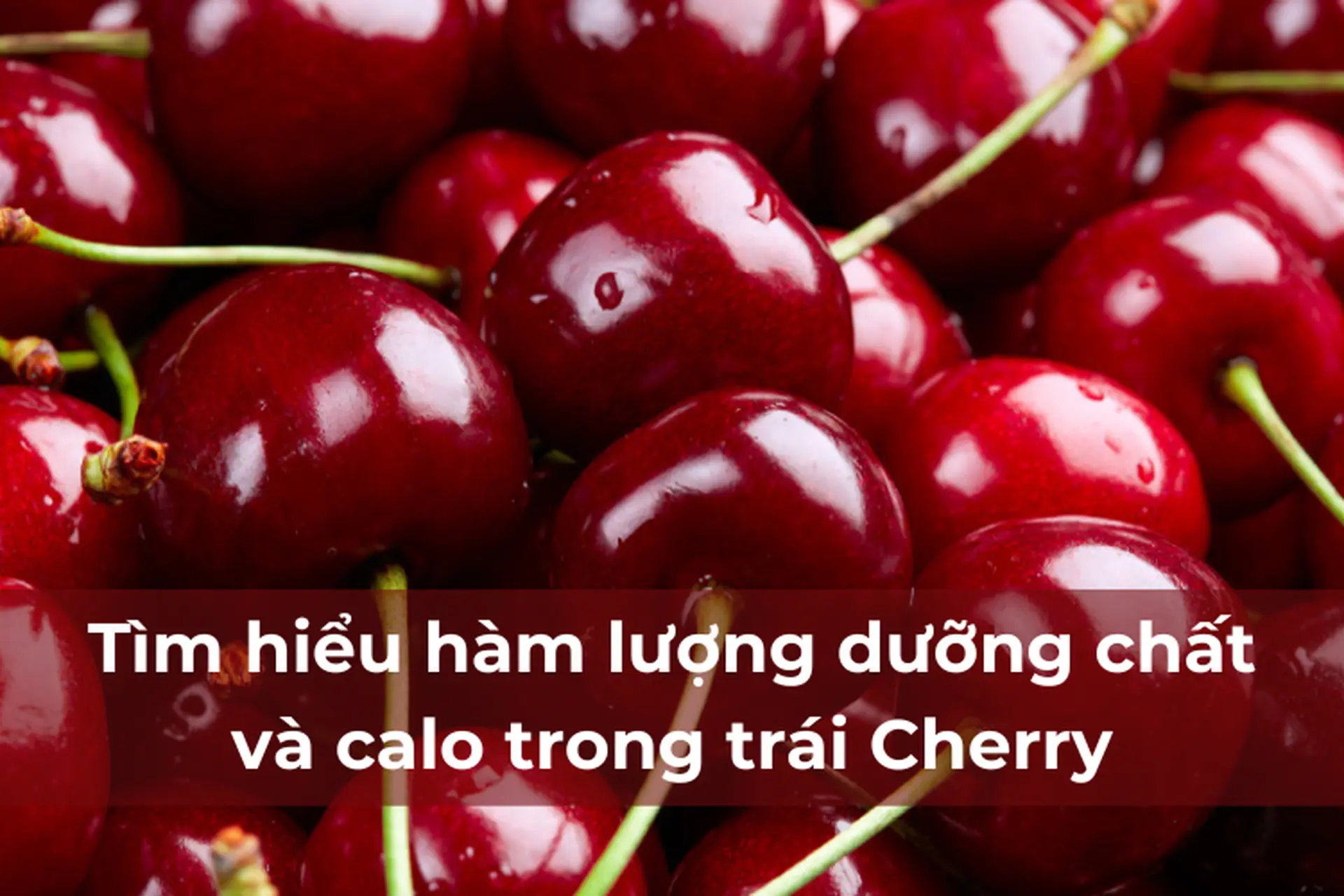 Cherry bao nhiêu calo? Ăn cherry có lợi gì cho sức khỏe và nên ăn bao nhiêu là vừa đủ?