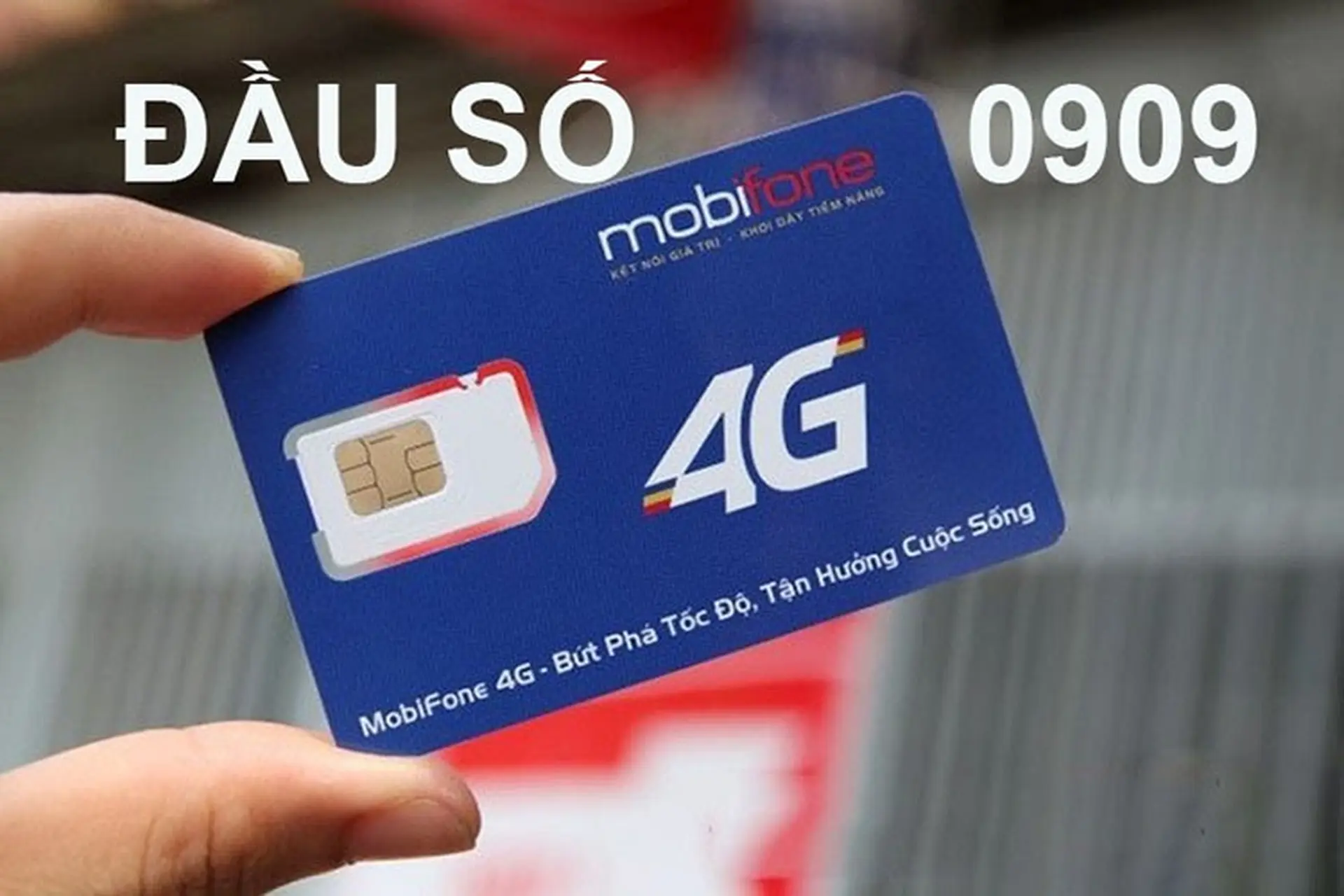 0909 là mạng gì? Làm thế nào để chọn SIM đầu 0909 đẹp, mang đến may mắn?